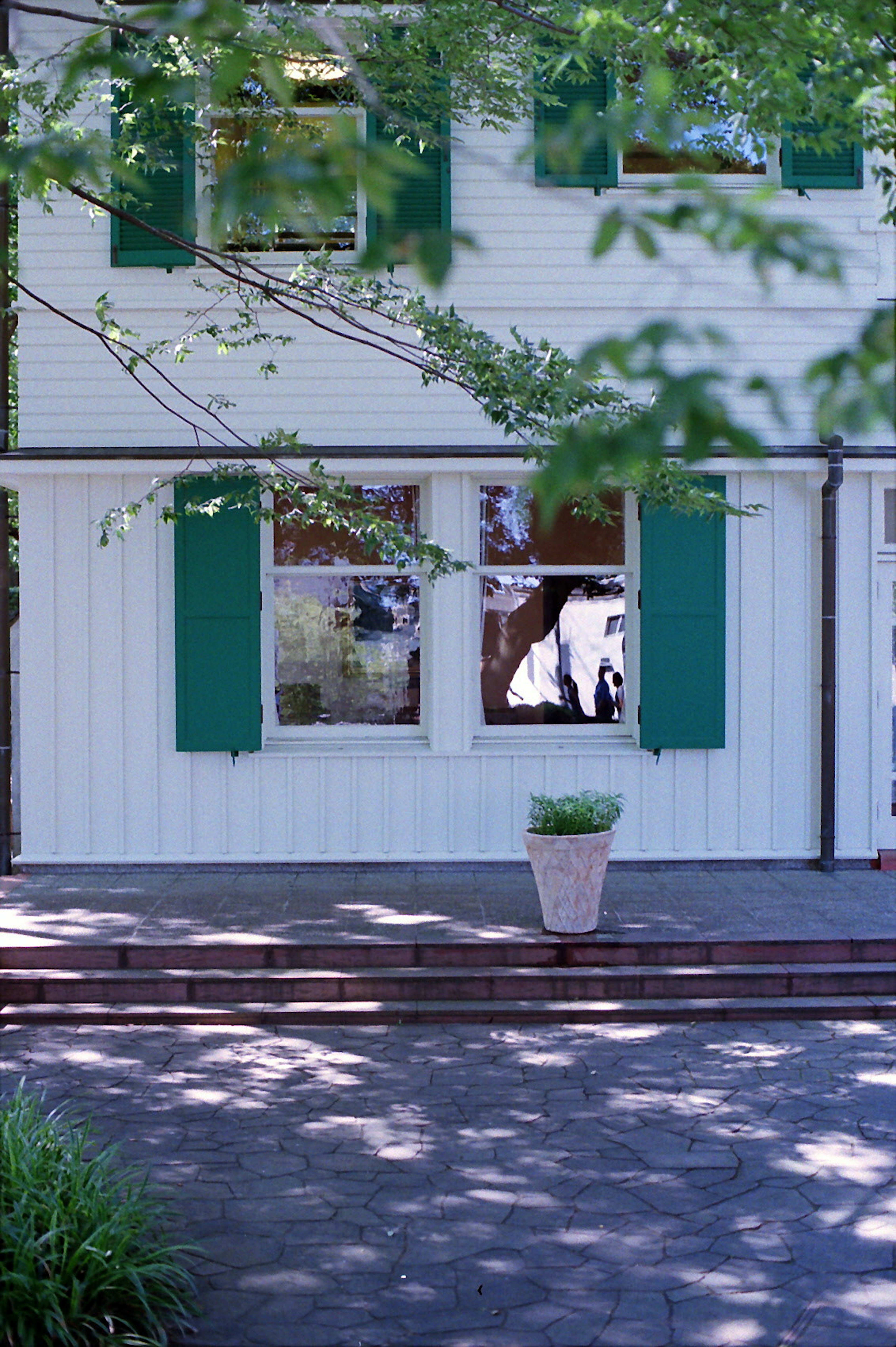 Maison blanche avec volets verts et une plante en pot sur un chemin en pierre