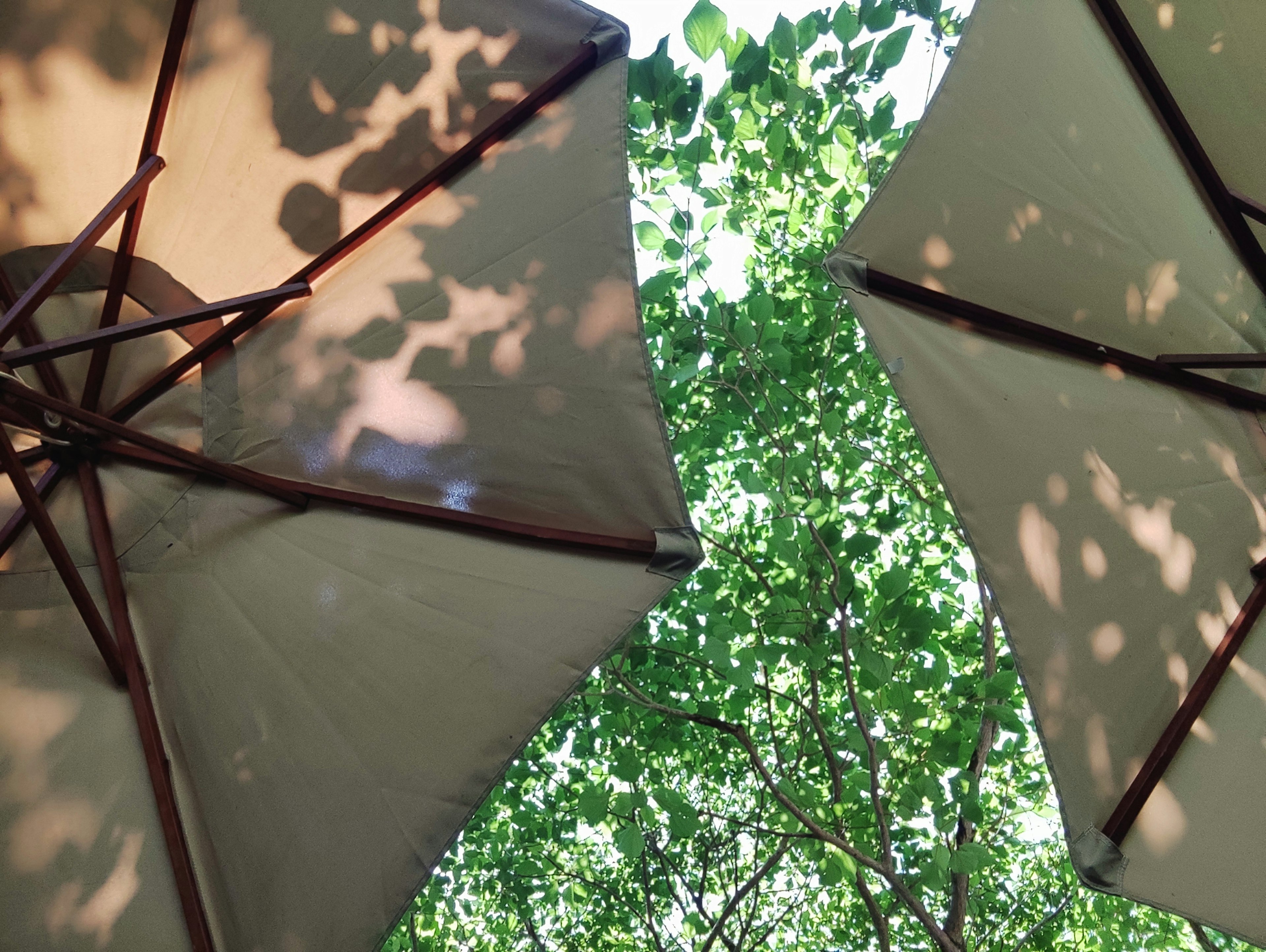 Vue de parasols bloquant la lumière du soleil avec des feuilles vertes en arrière-plan