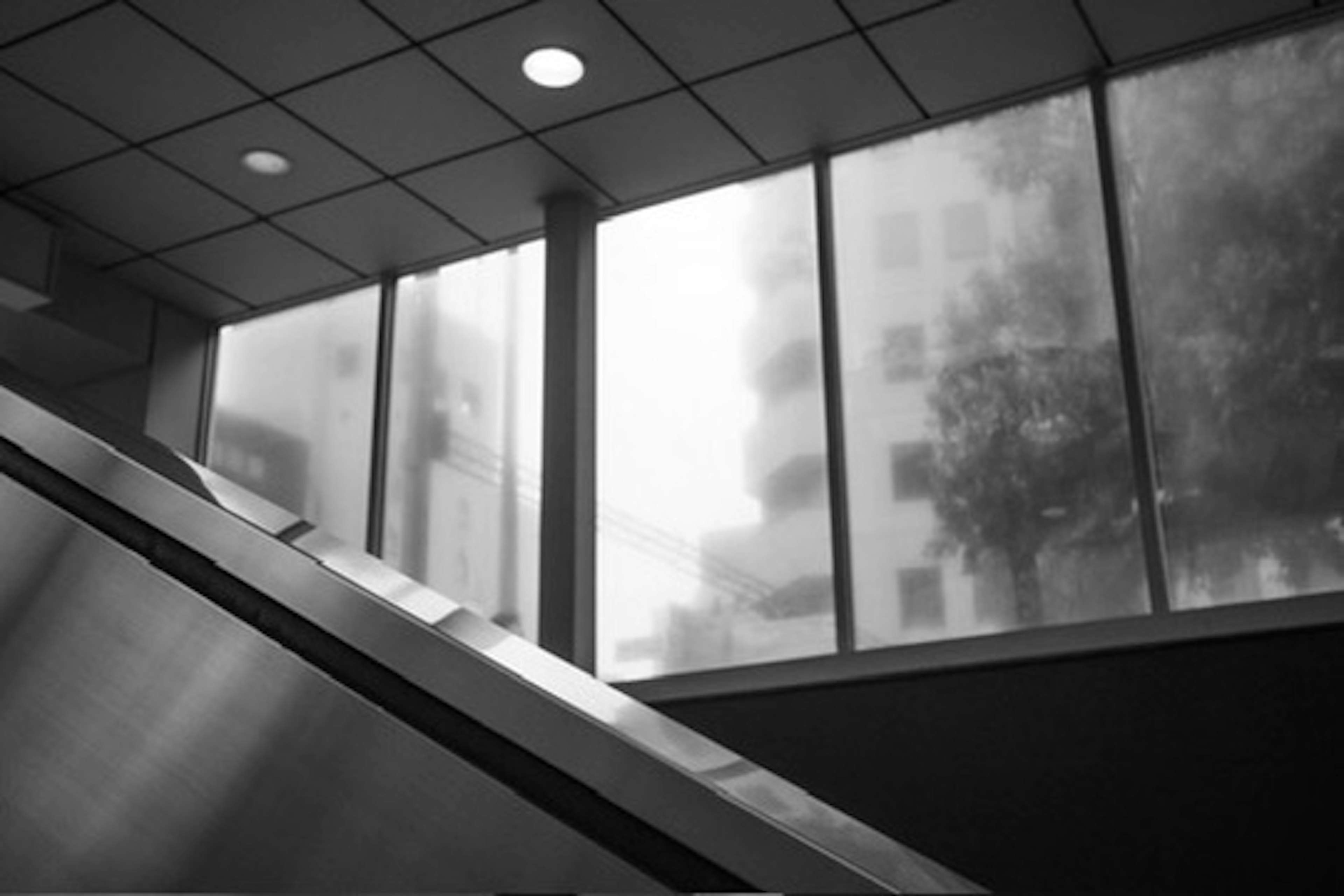 Black and white image of a staircase and blurred view through windows