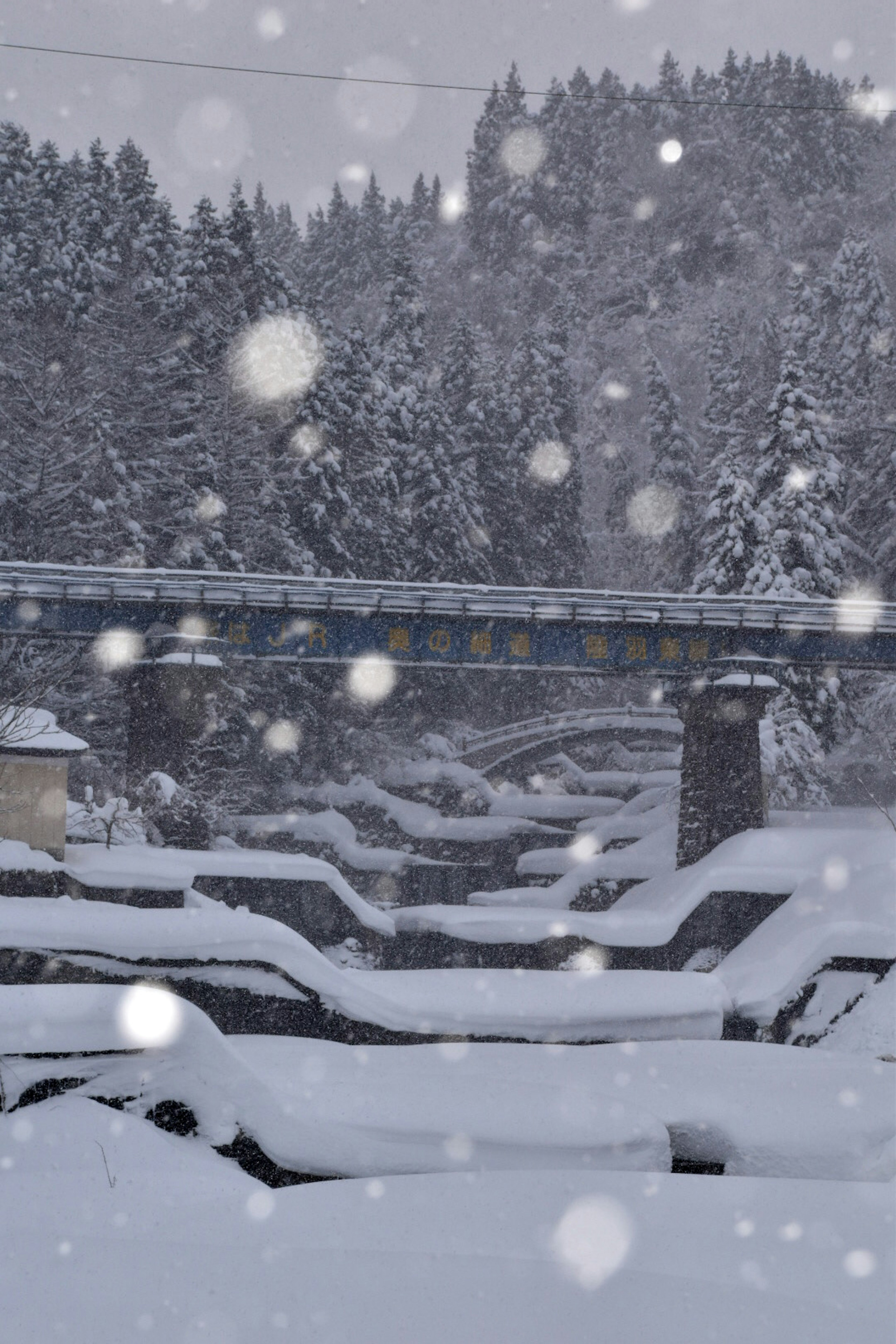 雪に覆われた橋と雪景色の森