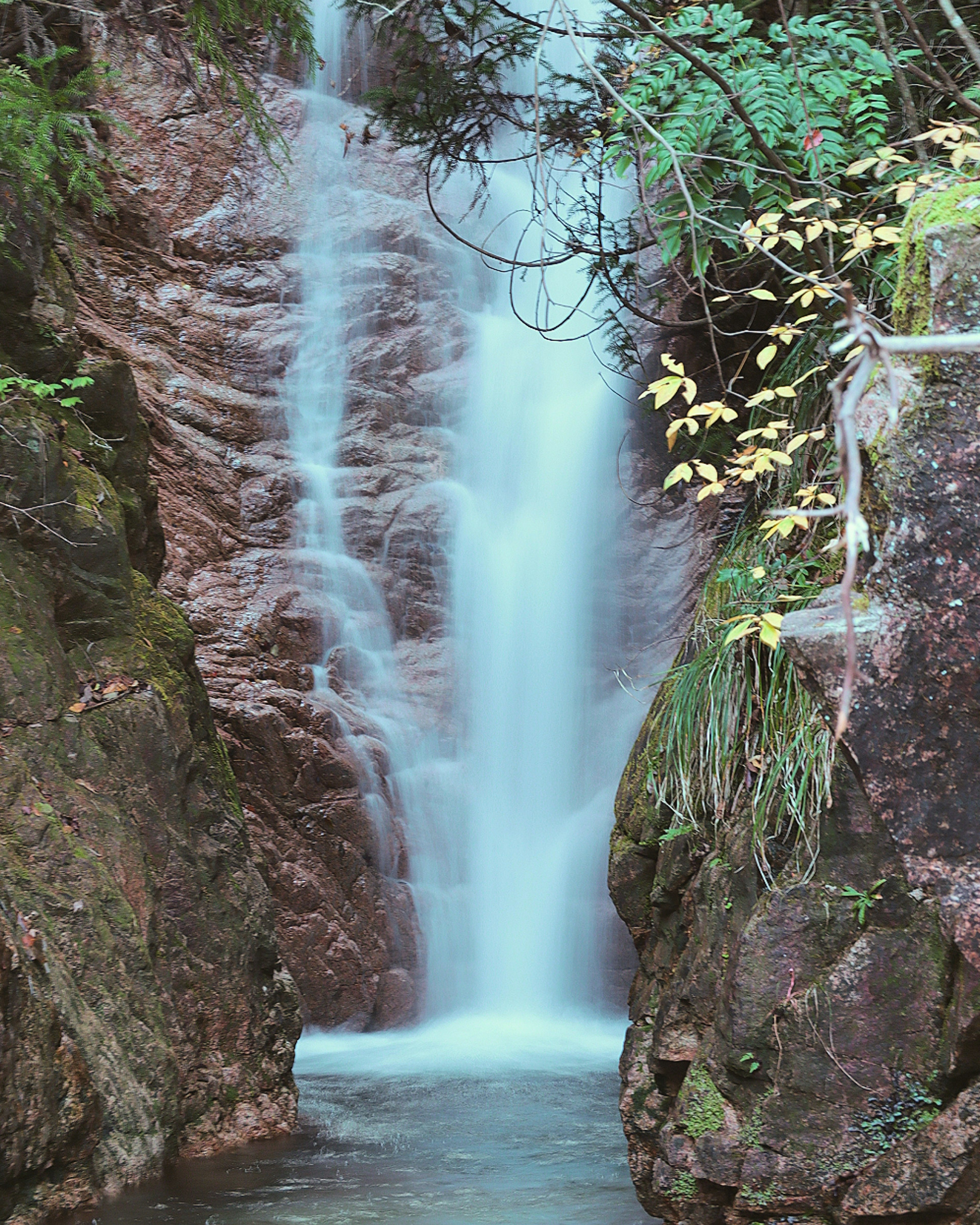 A beautiful waterfall cascading between rocks surrounded by green foliage