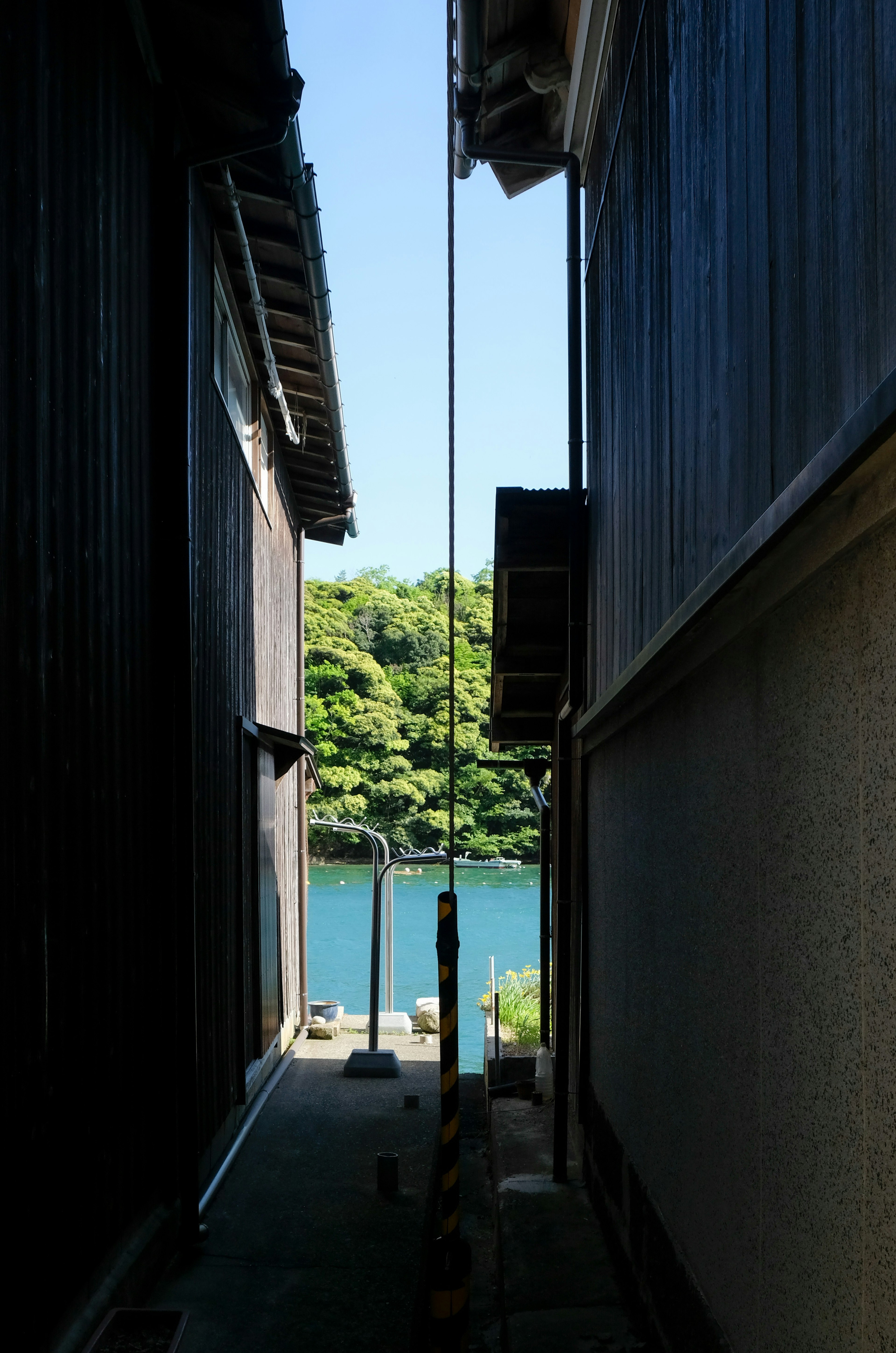 Cortile stretto che rivela una superficie d'acqua calma e alberi verdi