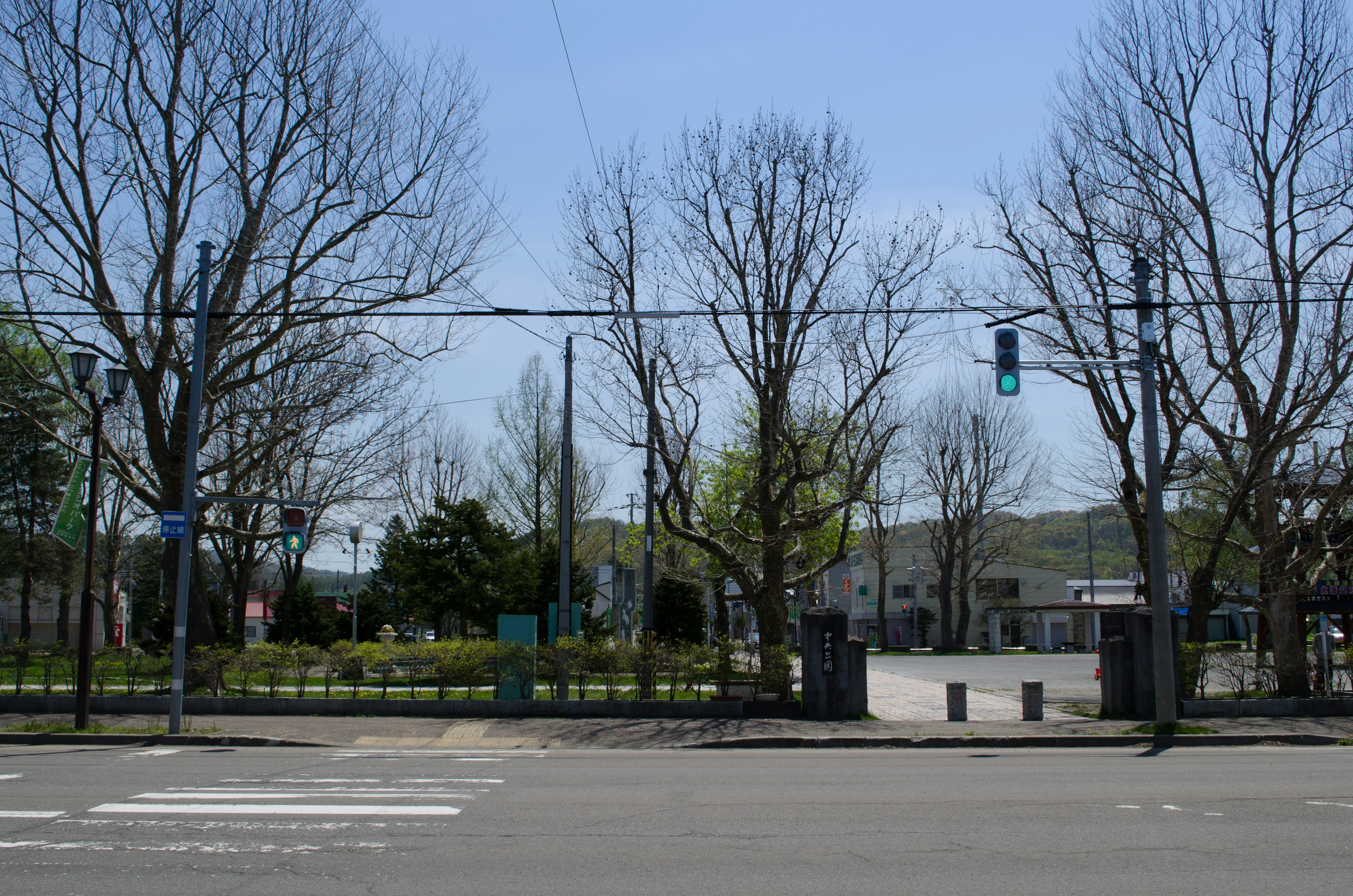 Vista de un parque con un semáforo verde y árboles desnudos