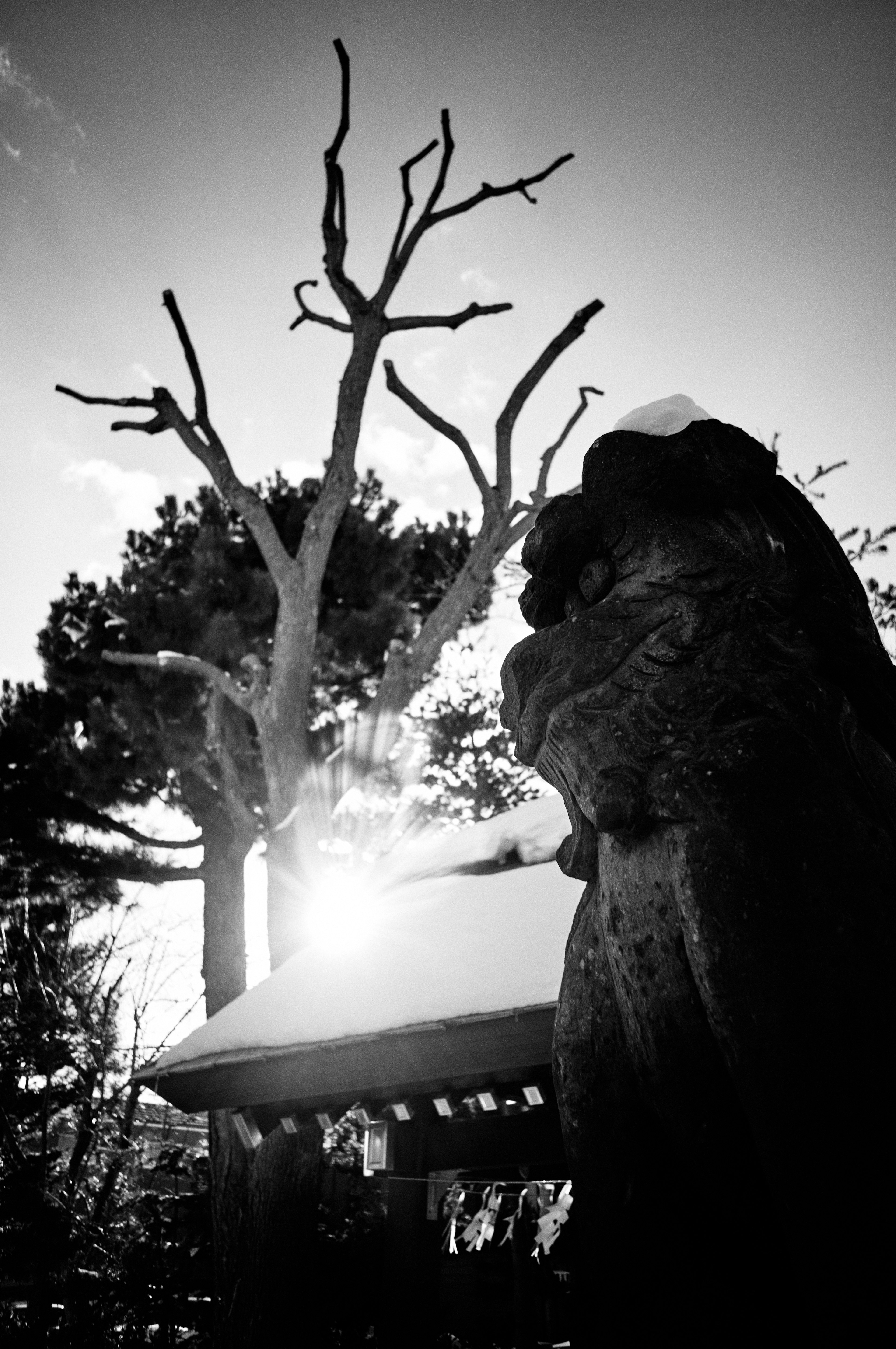 A landscape with a snow-covered tree and sculpture with the sun rising in the background