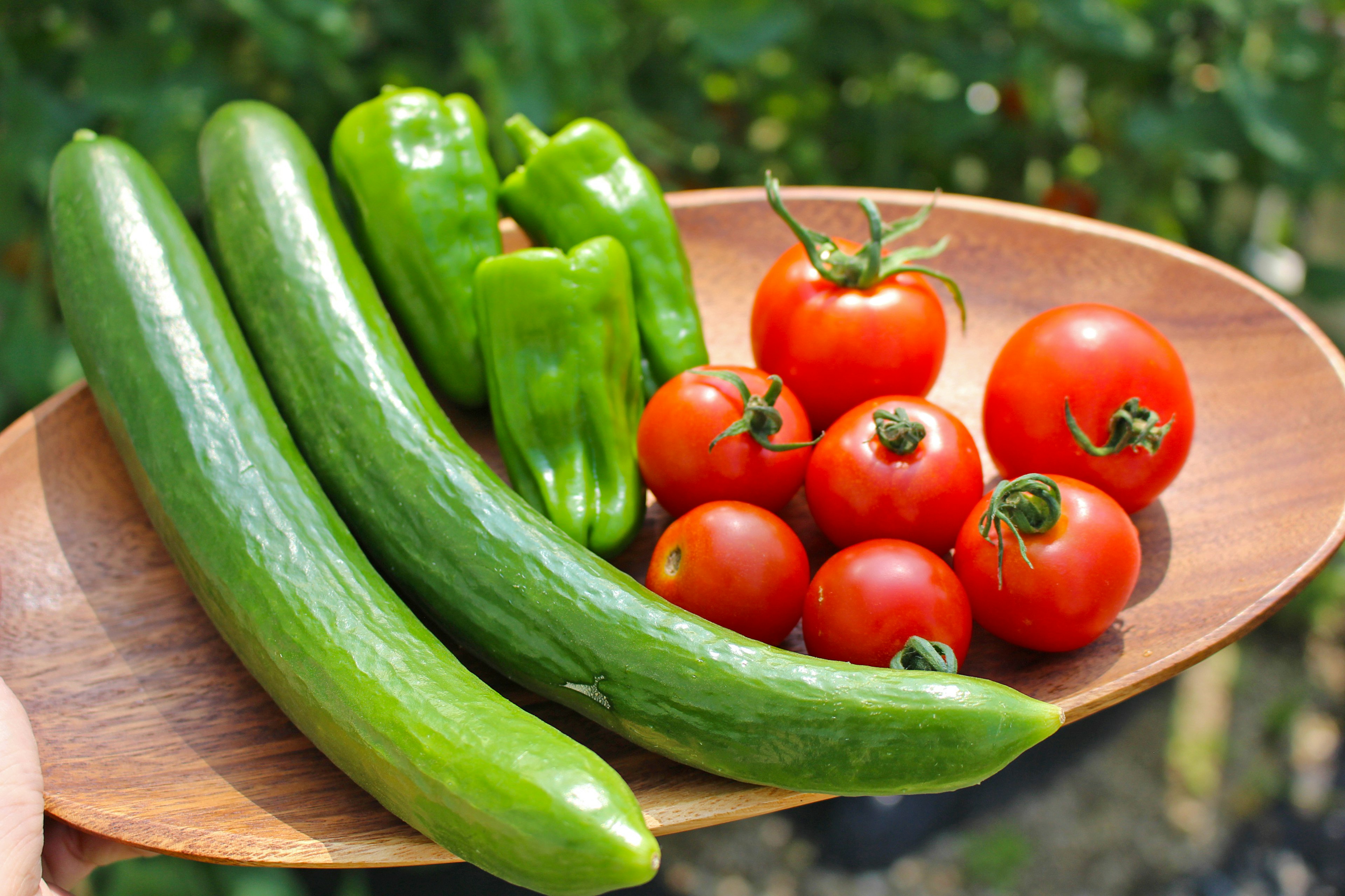 Plato de madera con pepinos verdes y tomates rojos