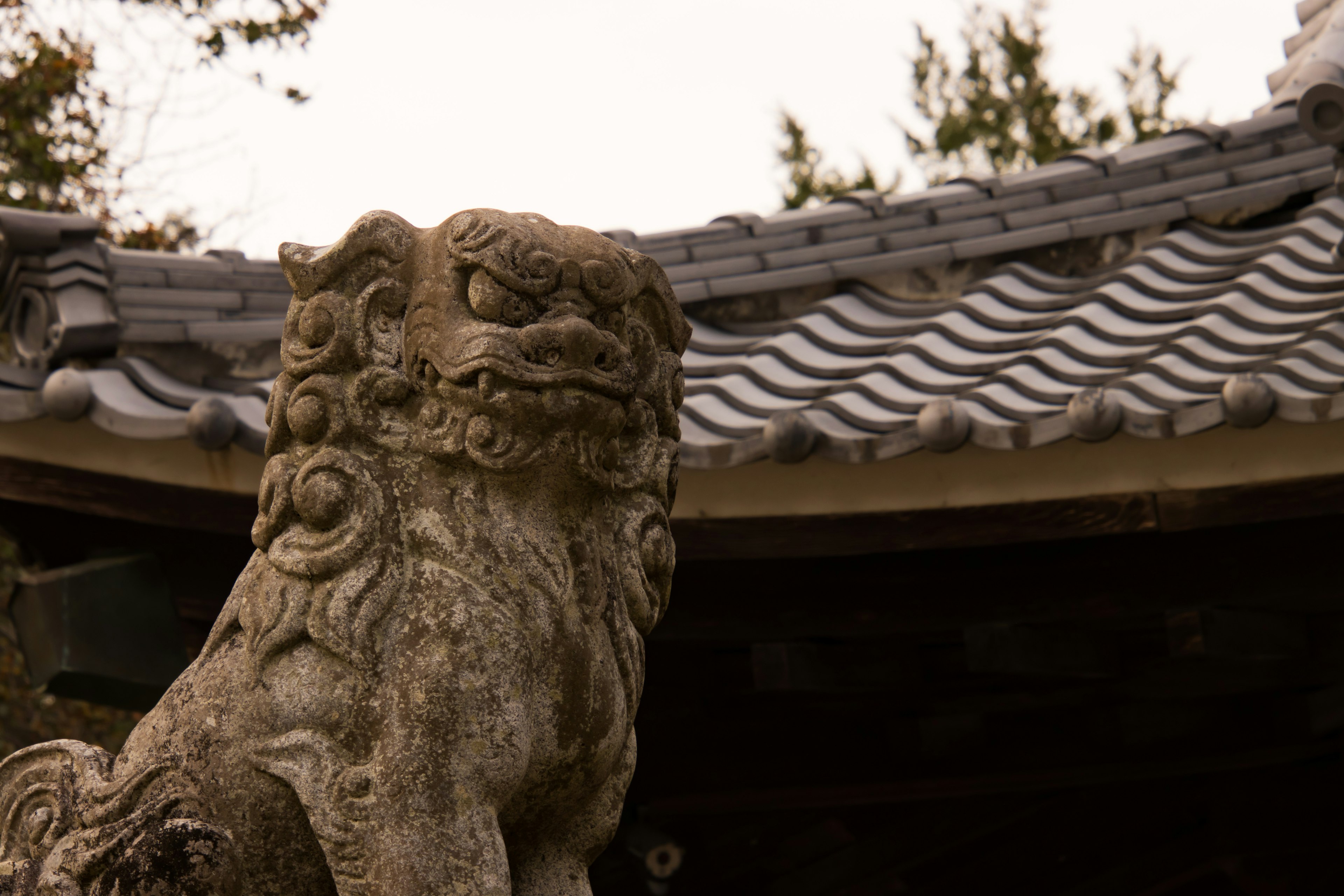 Estatua de león de piedra en un templo japonés con techo tradicional