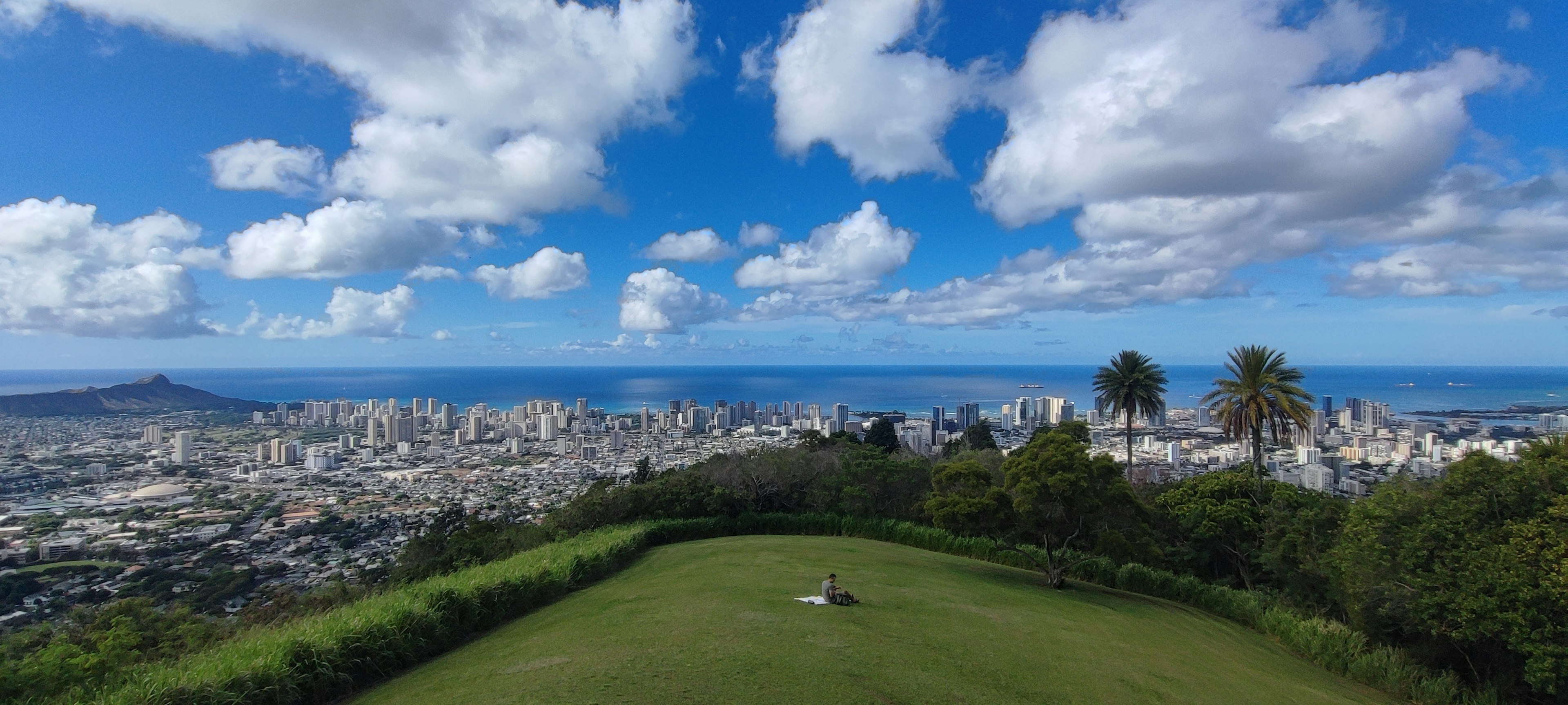 Panoramic view of Honolulu with blue sky and clouds from a lush green hill