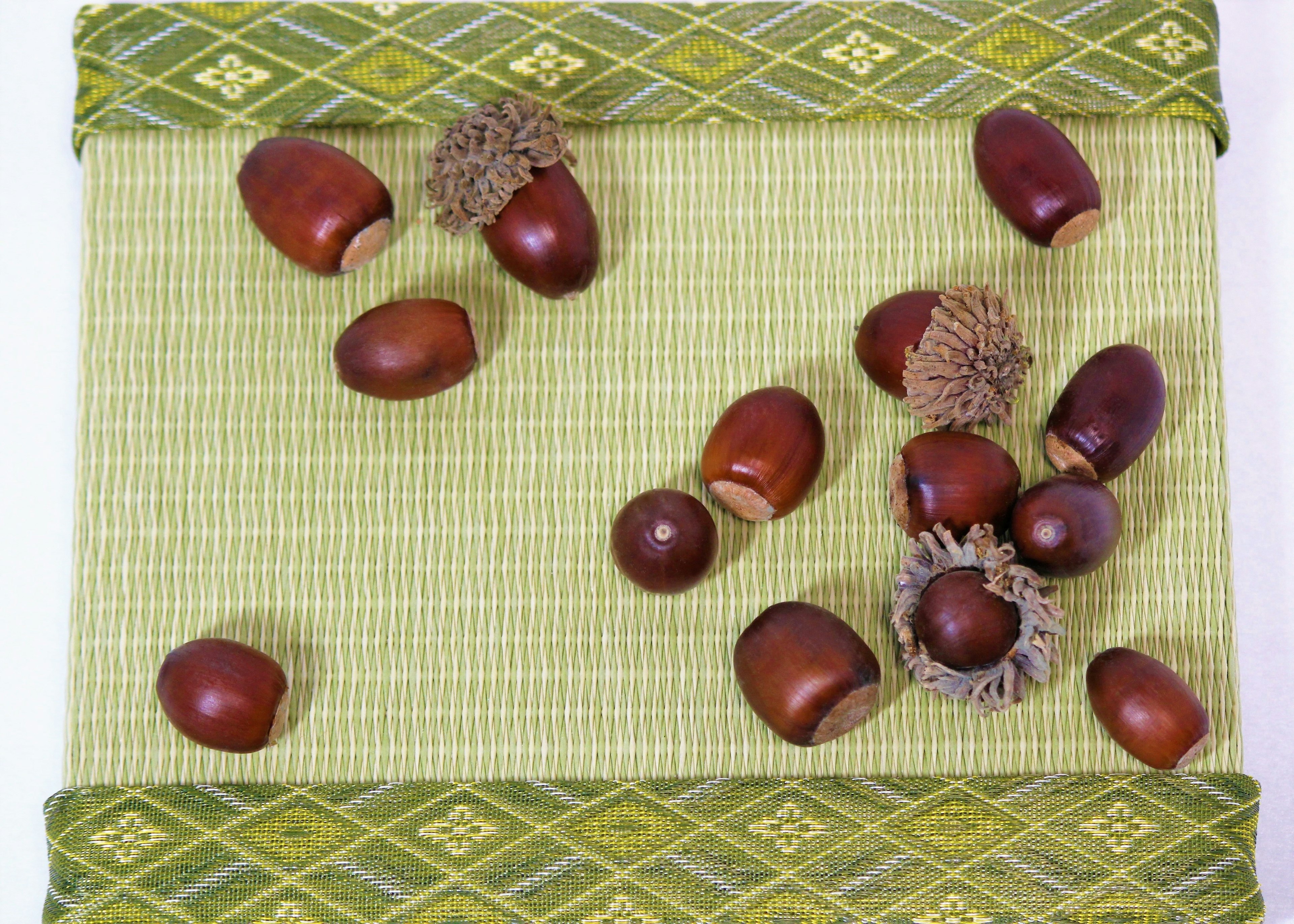 Castagne e ghiande sparse su un tessuto verde