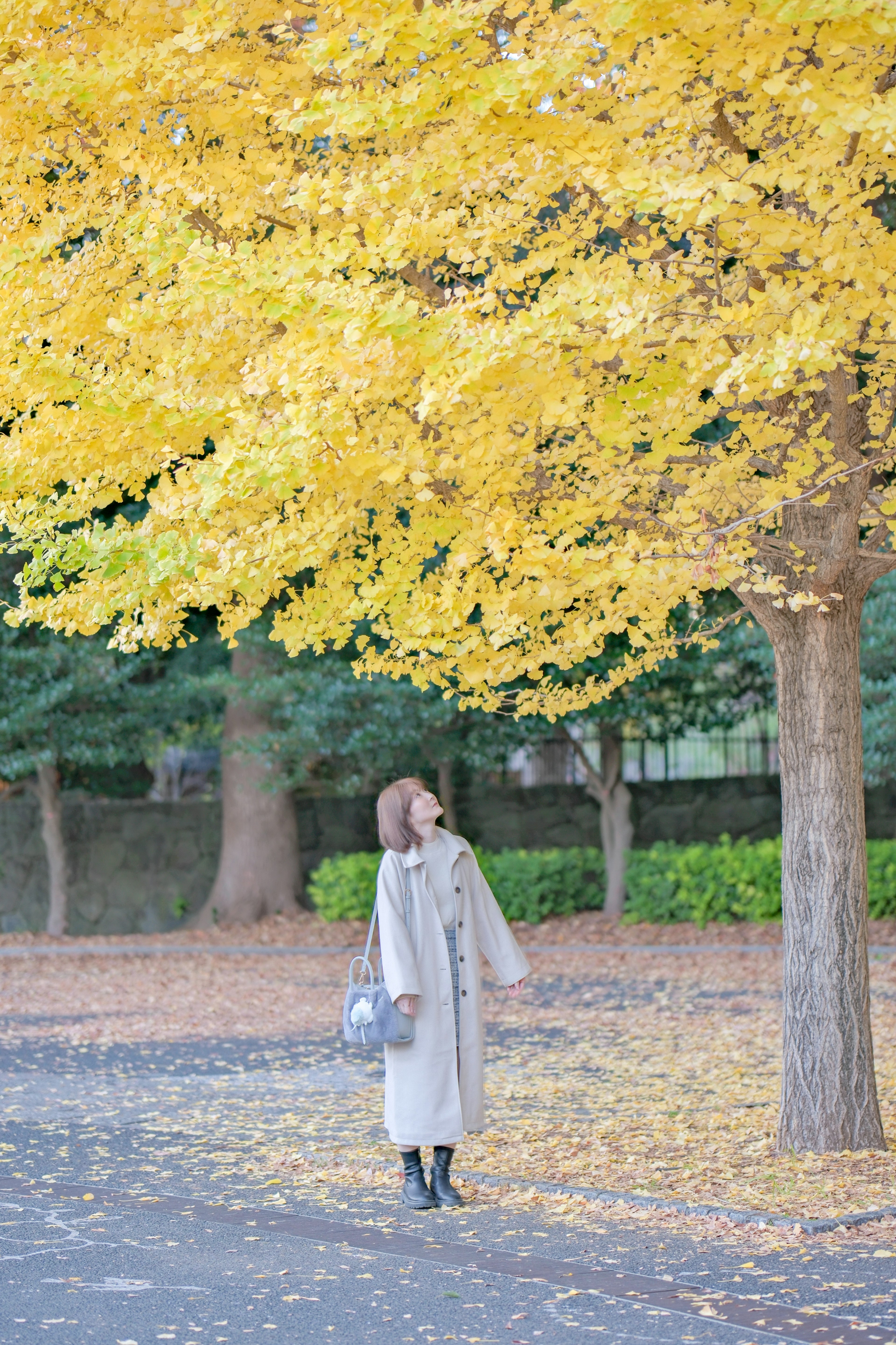 黄色の葉を持つ大きな木の下に立つ女性の秋の風景