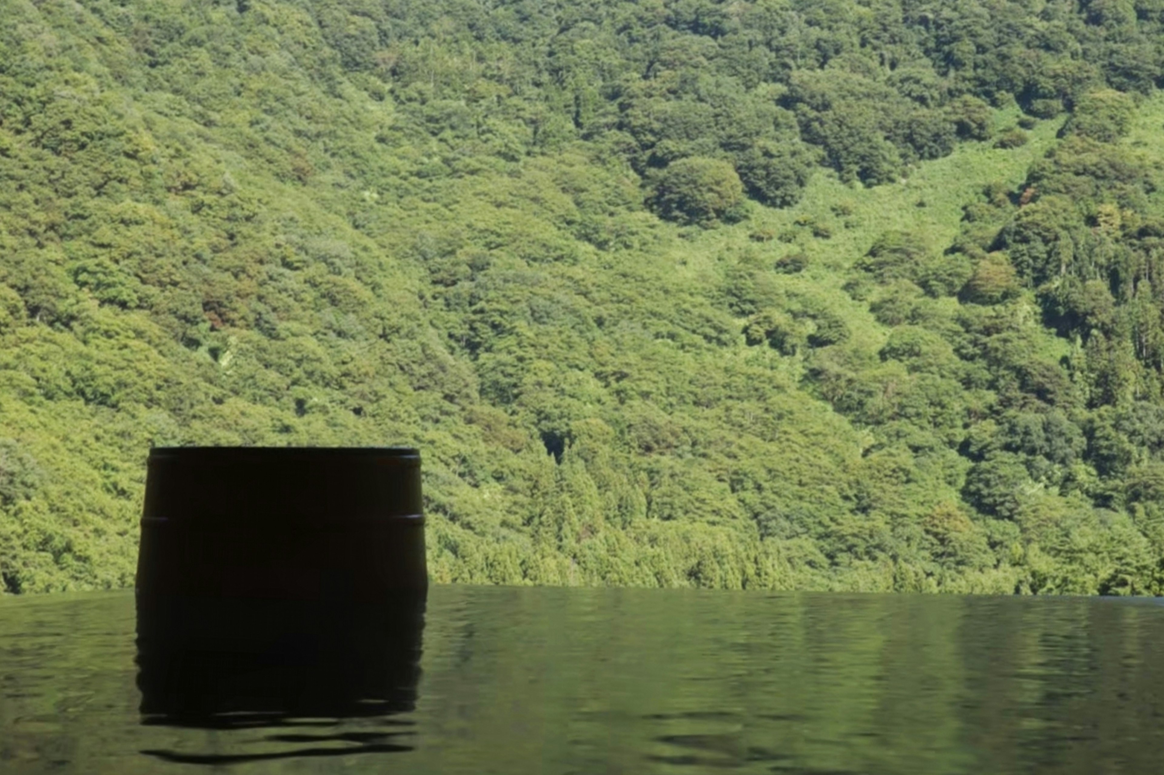 Black cylindrical object floating on water with green mountains in the background