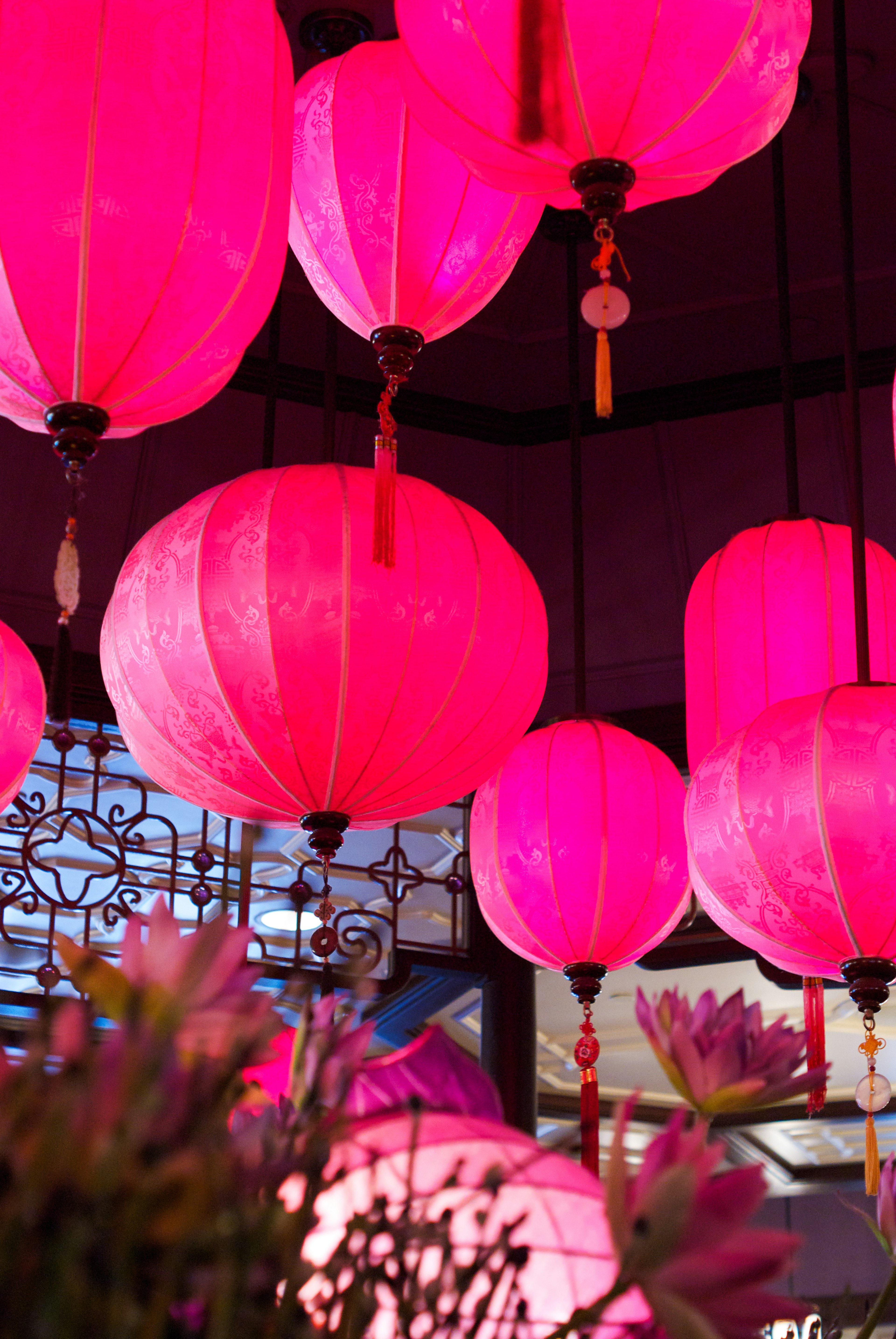 Colorful pink lanterns hanging from the ceiling creating a vibrant atmosphere