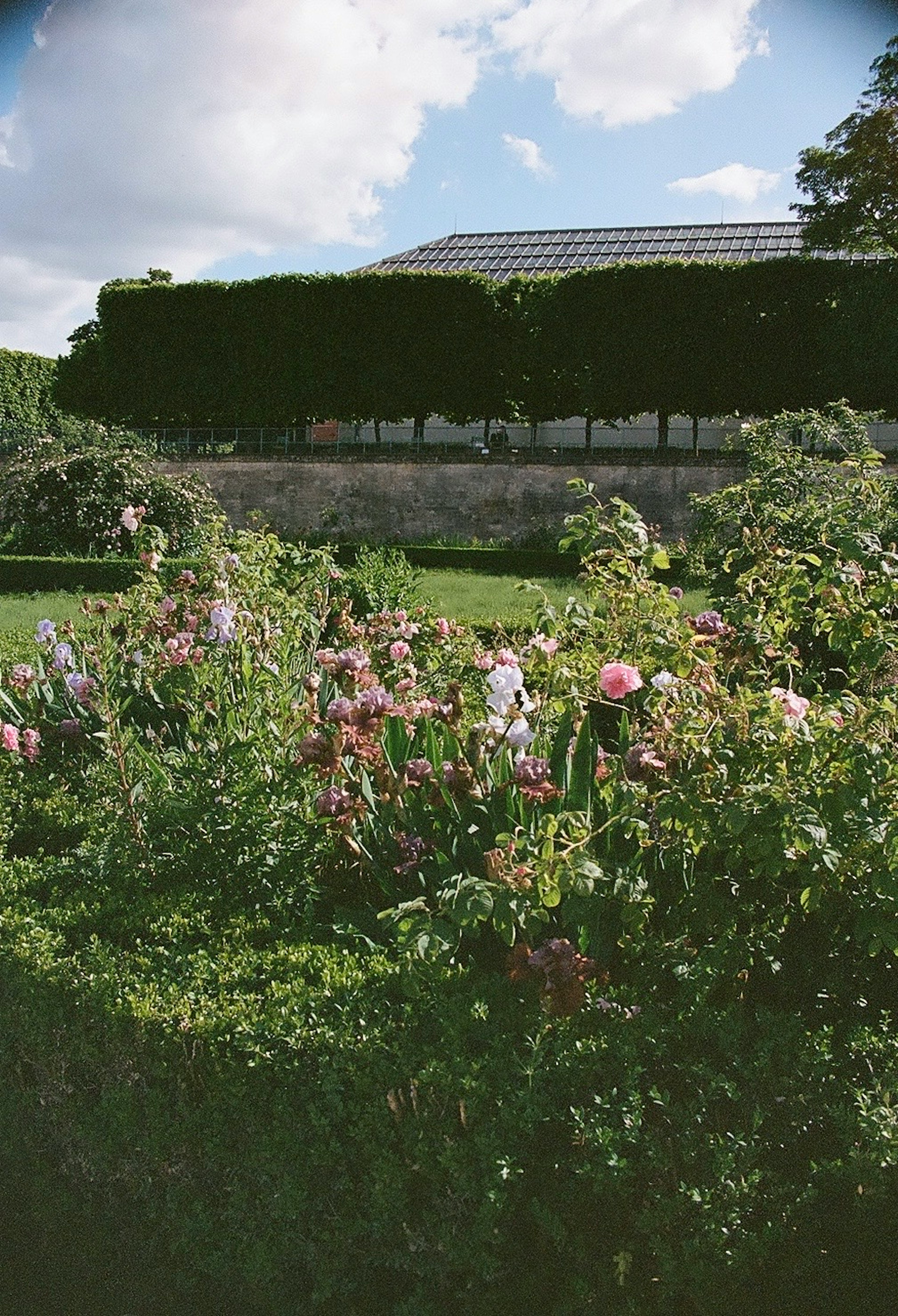 Ein lebendiger Garten voller blühender Blumen und ordentlich geschnittener Hecken