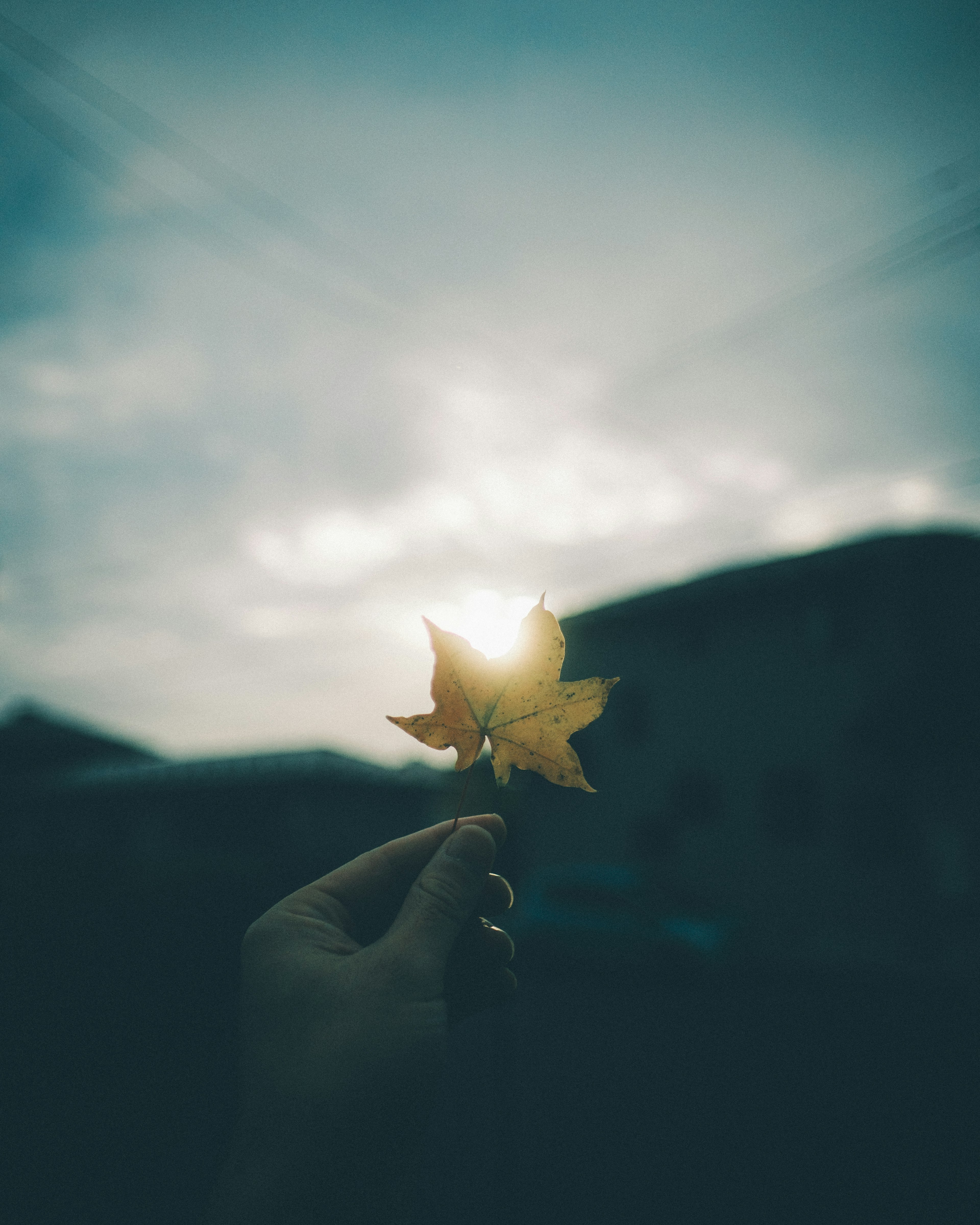 Mano sosteniendo una hoja amarilla con luz solar brillando a través