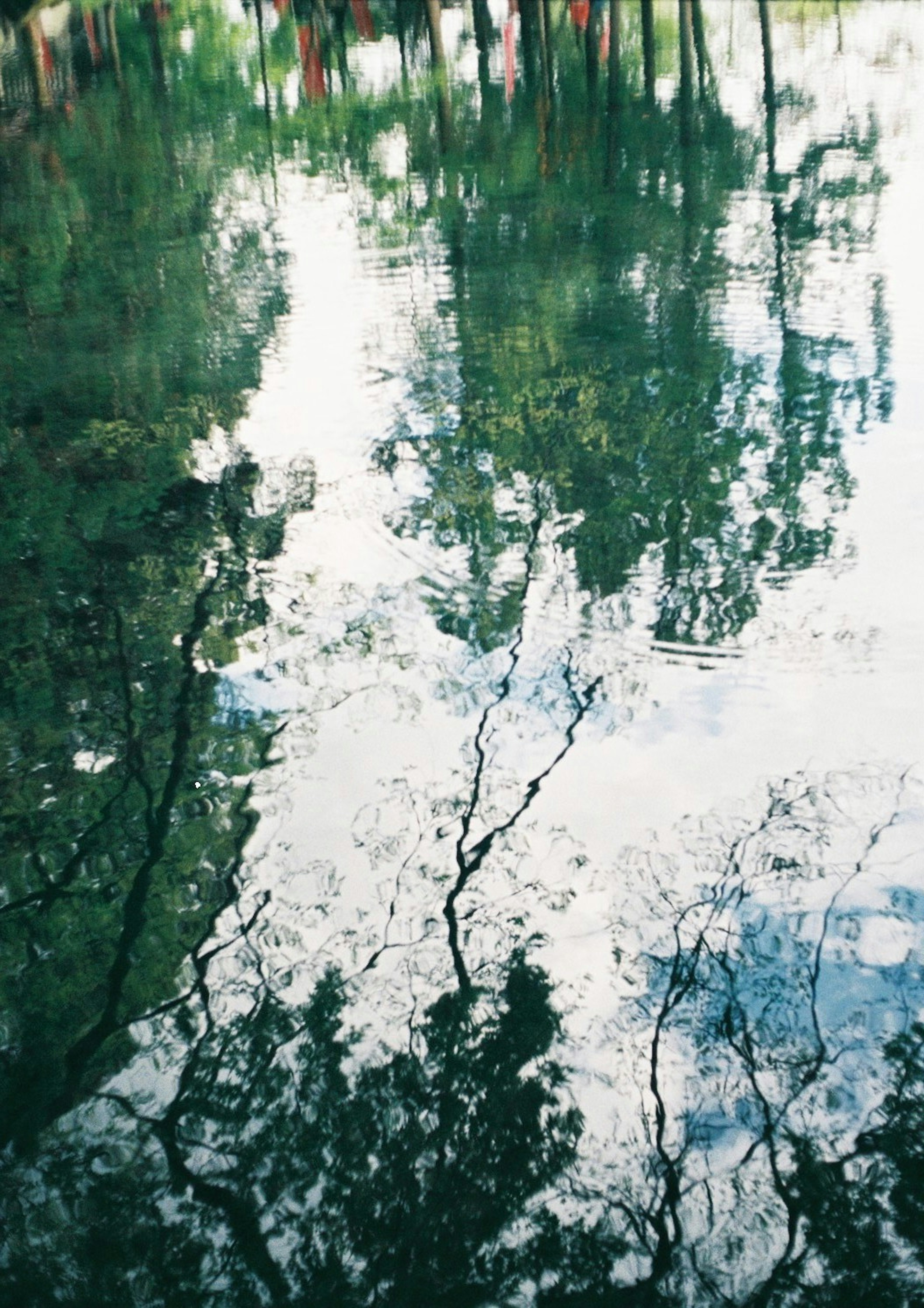 Reflexion von Bäumen und Wolken auf der Wasseroberfläche