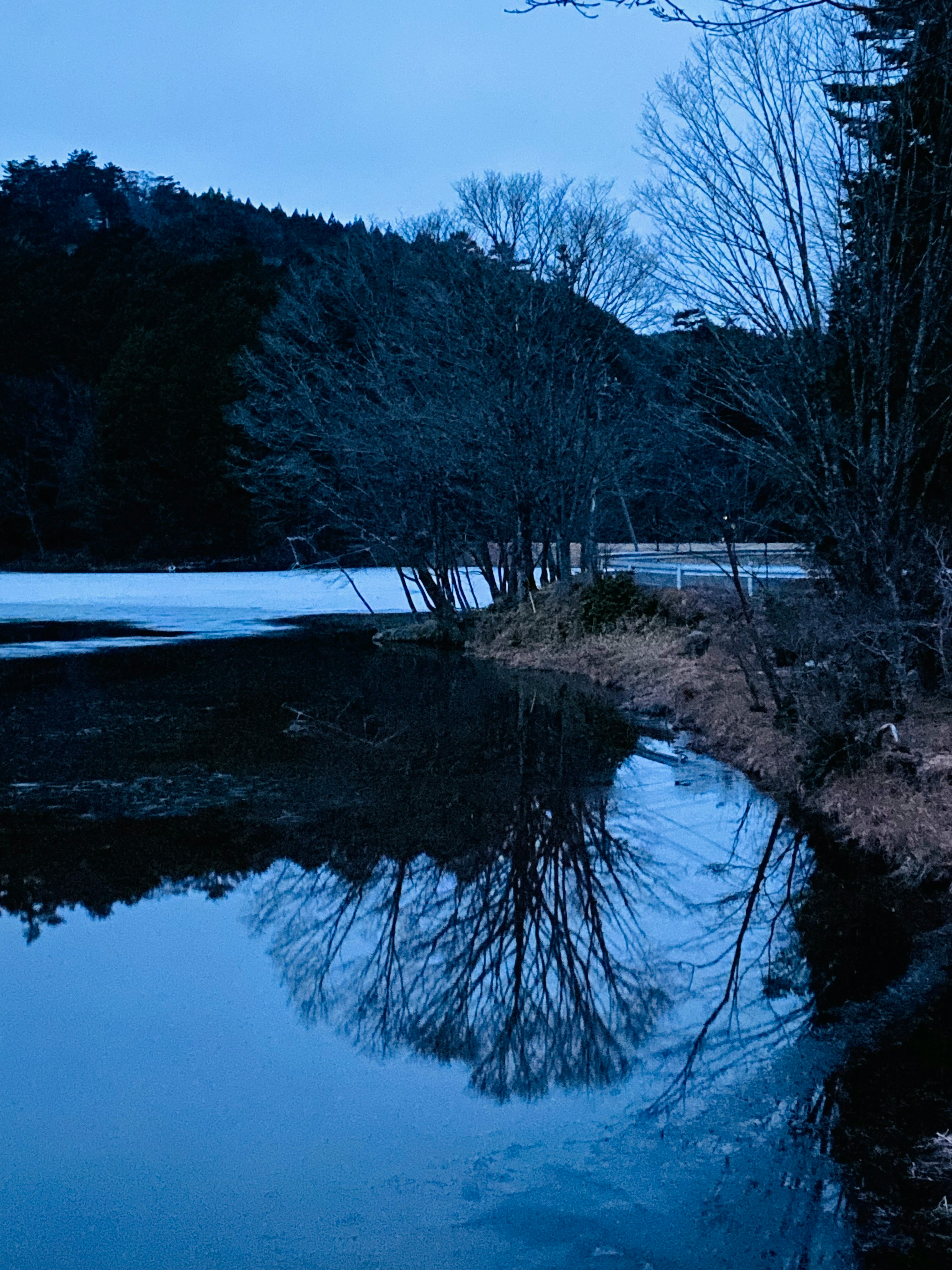 Silhouette des arbres reflétée sur une surface d'eau bleue dans un paysage paisible