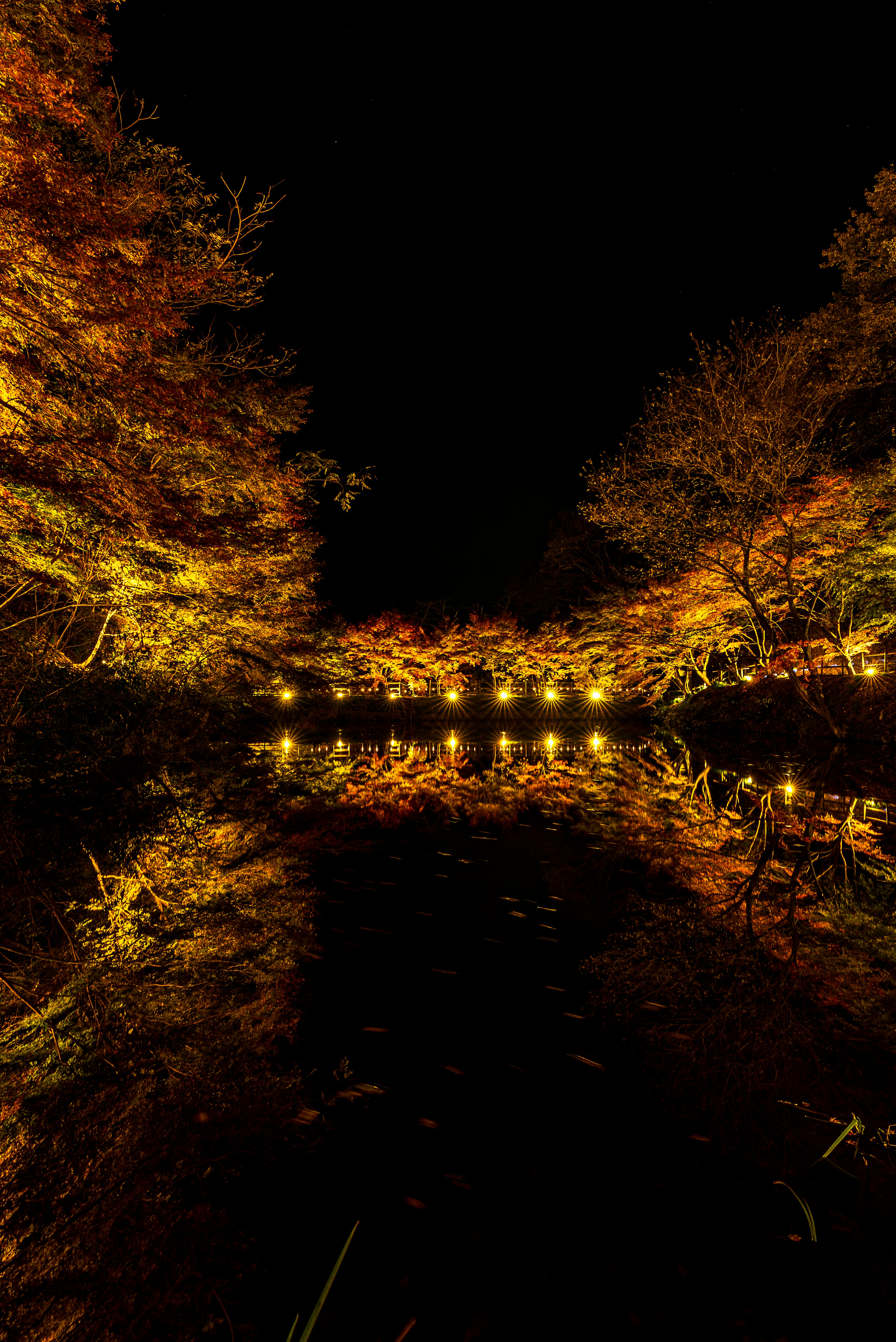 Golden autumn leaves and lights reflecting on a dark lake at night