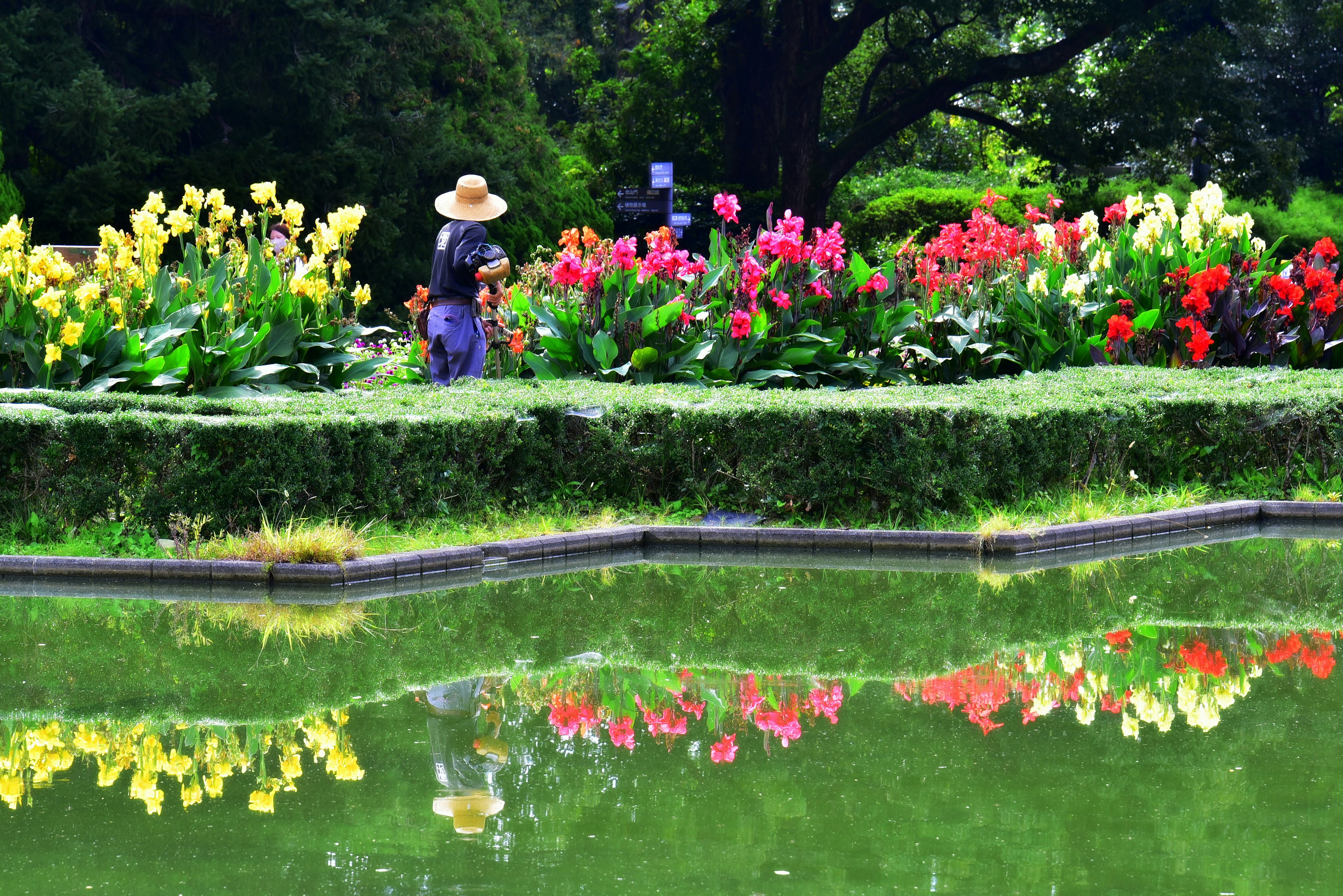 Eine ruhige Parkszenen mit bunten Blumen und einem friedlichen Teich