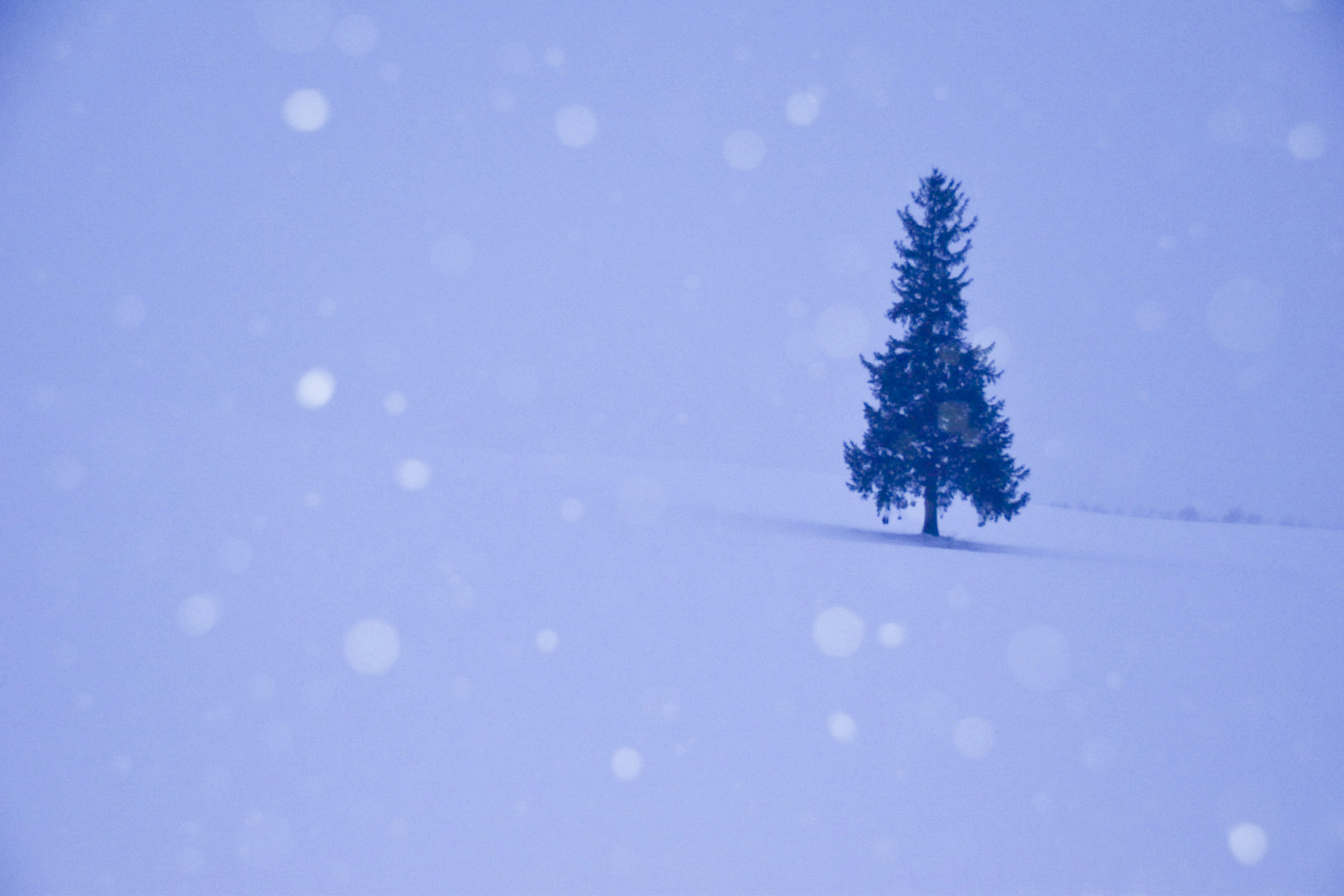 Ein einzelner Baum in einer verschneiten Landschaft mit fallenden Schneeflocken