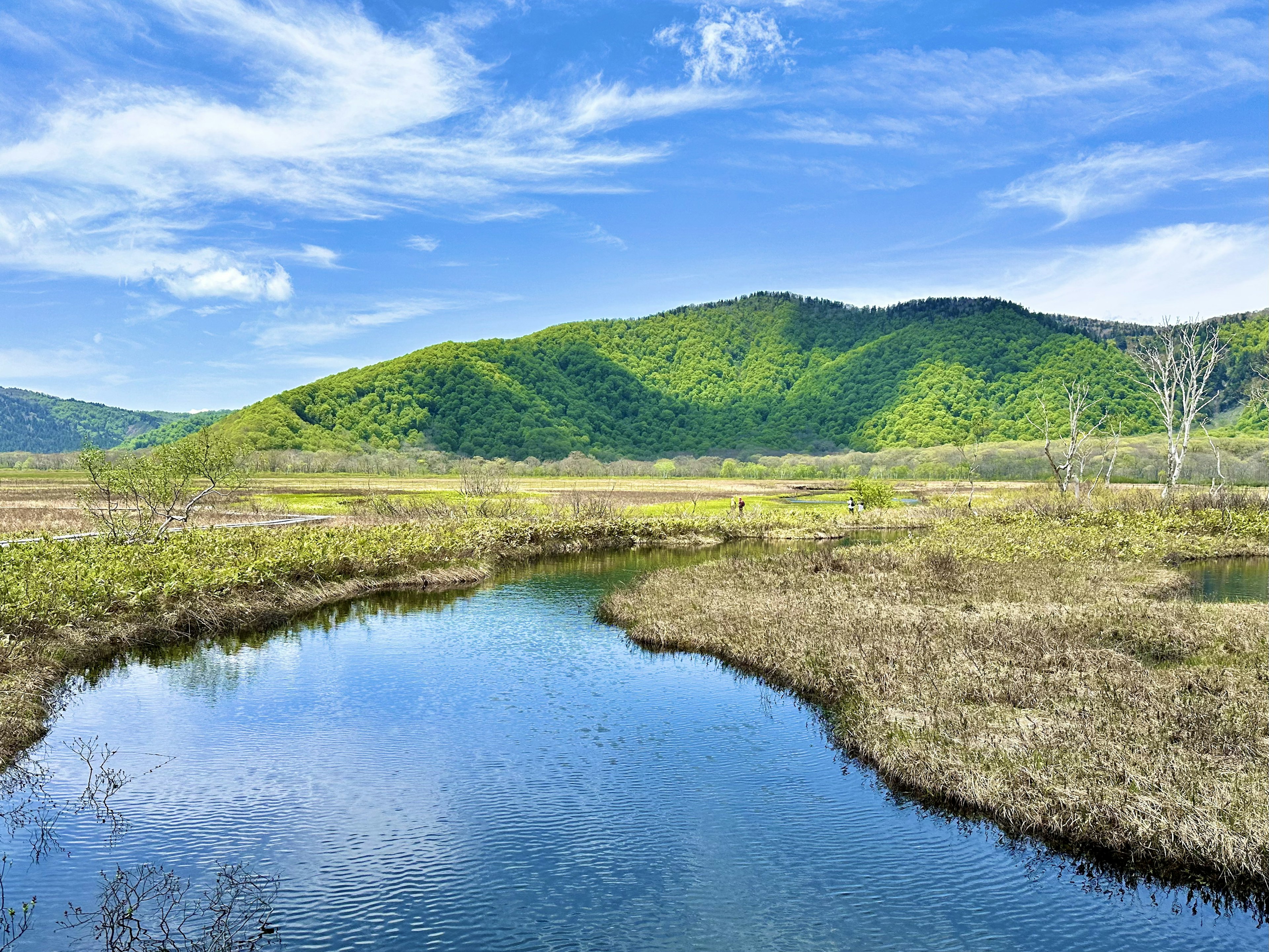 青い空と緑の山々を背景にした静かな湿地と水辺