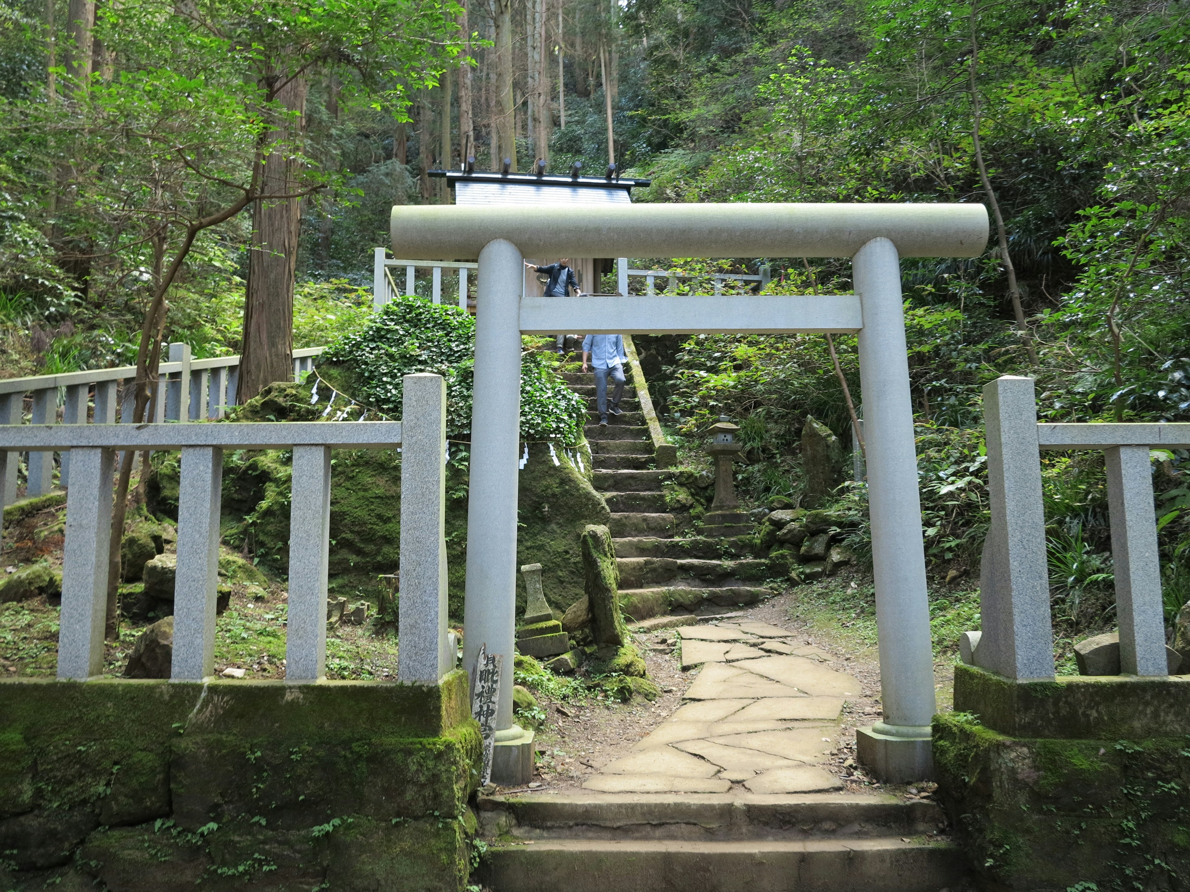 Torii gate and stone steps in a lush forest