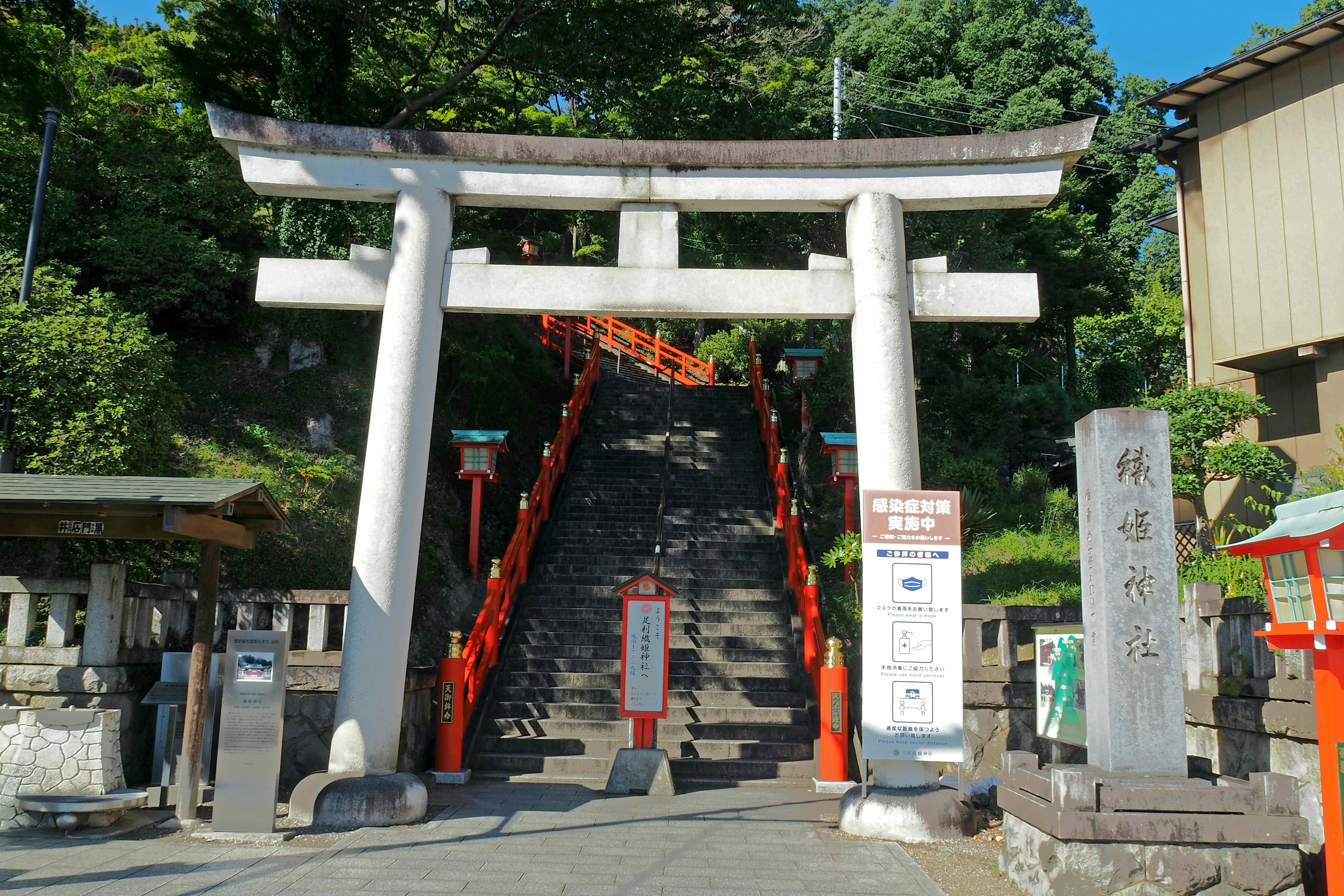 Ein Torii führt zu Steinstufen in einem Schrein