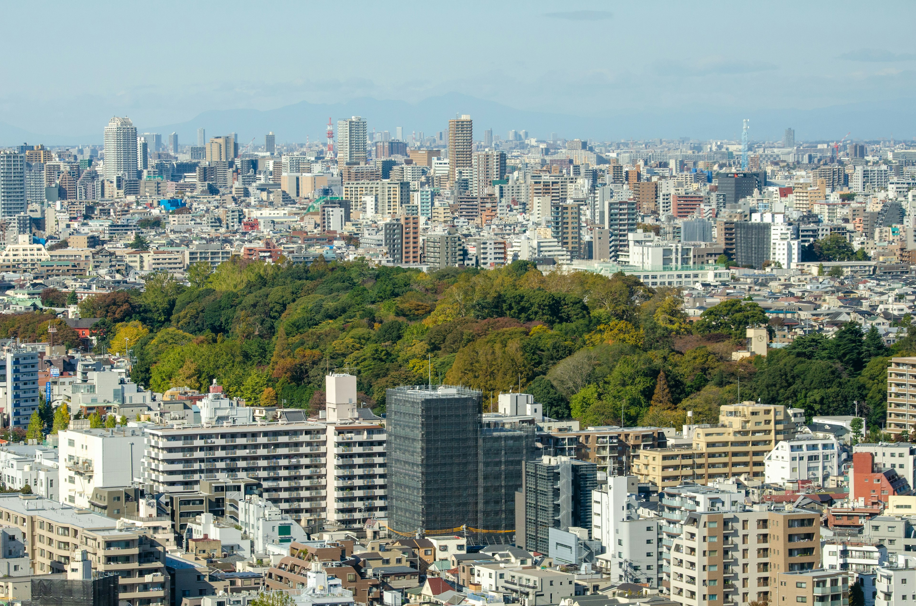 東京の都市景観と緑地のコントラストが見える