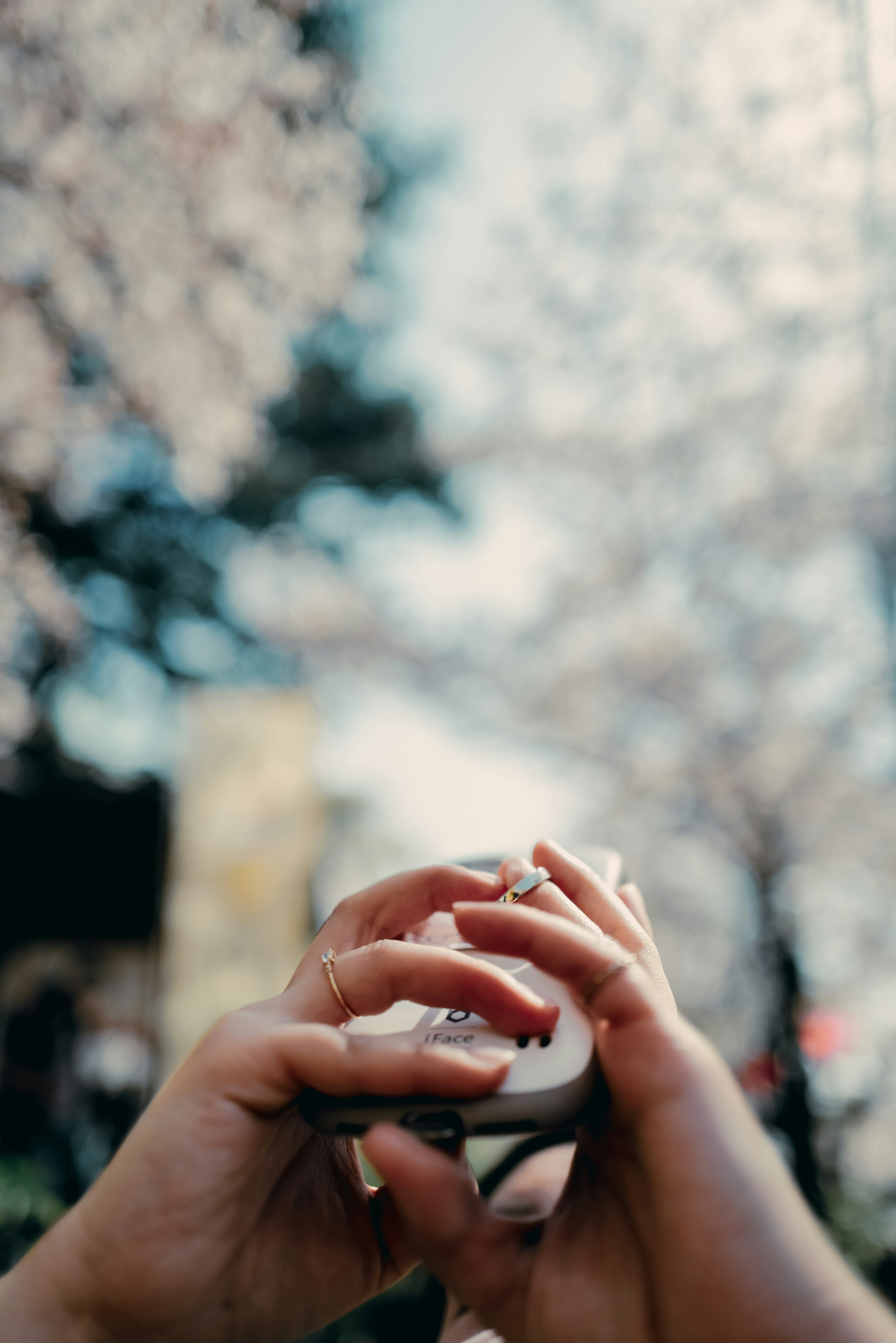 桜の花の背景に手が丸いオブジェを持っている