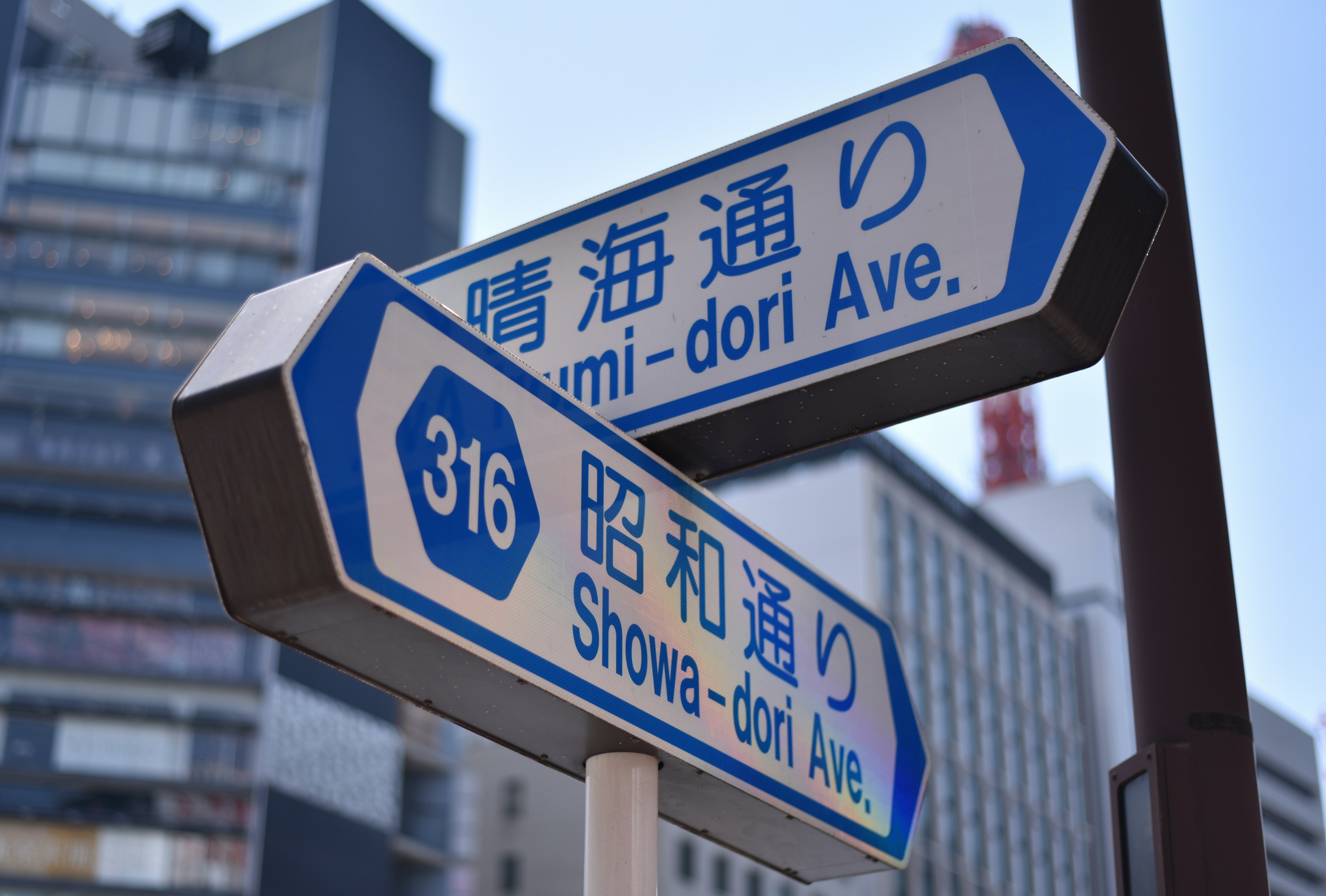 Panneaux de rue bleus affichant Umi-dori Ave et Showa-dori Ave