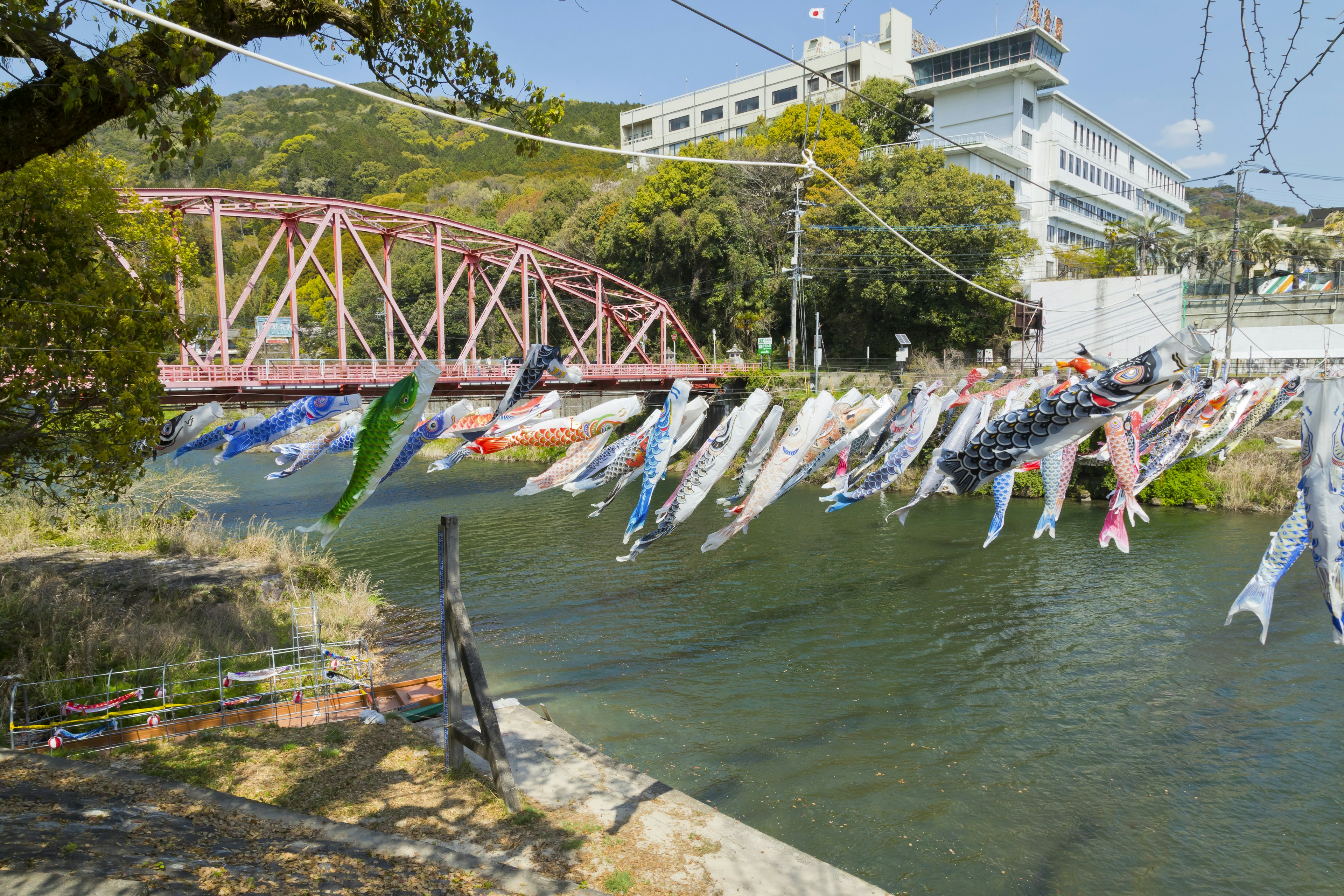 Koi flags hanging over a river with a red bridge in the background