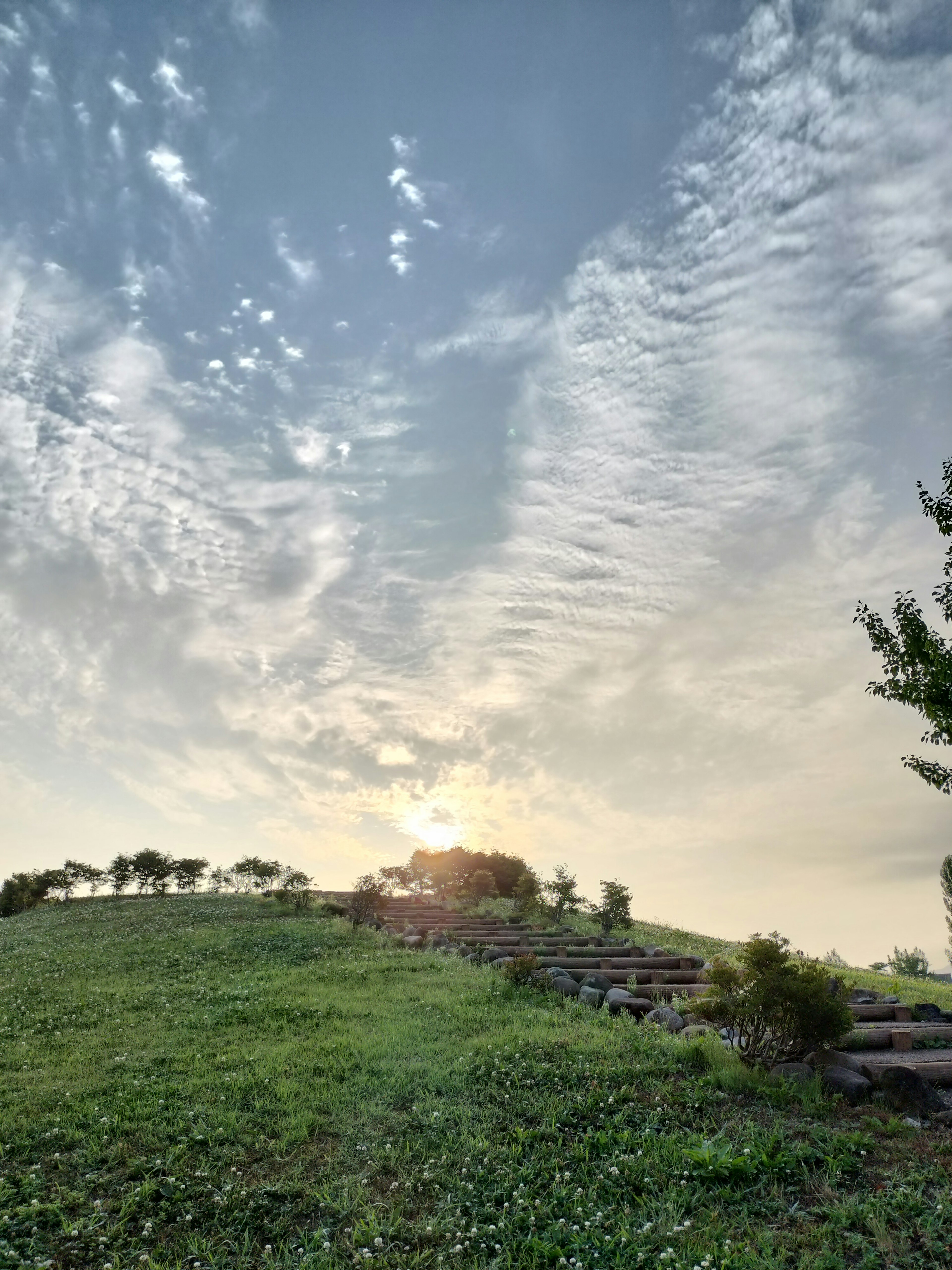 綠色山丘與美麗雲彩和日落的風景