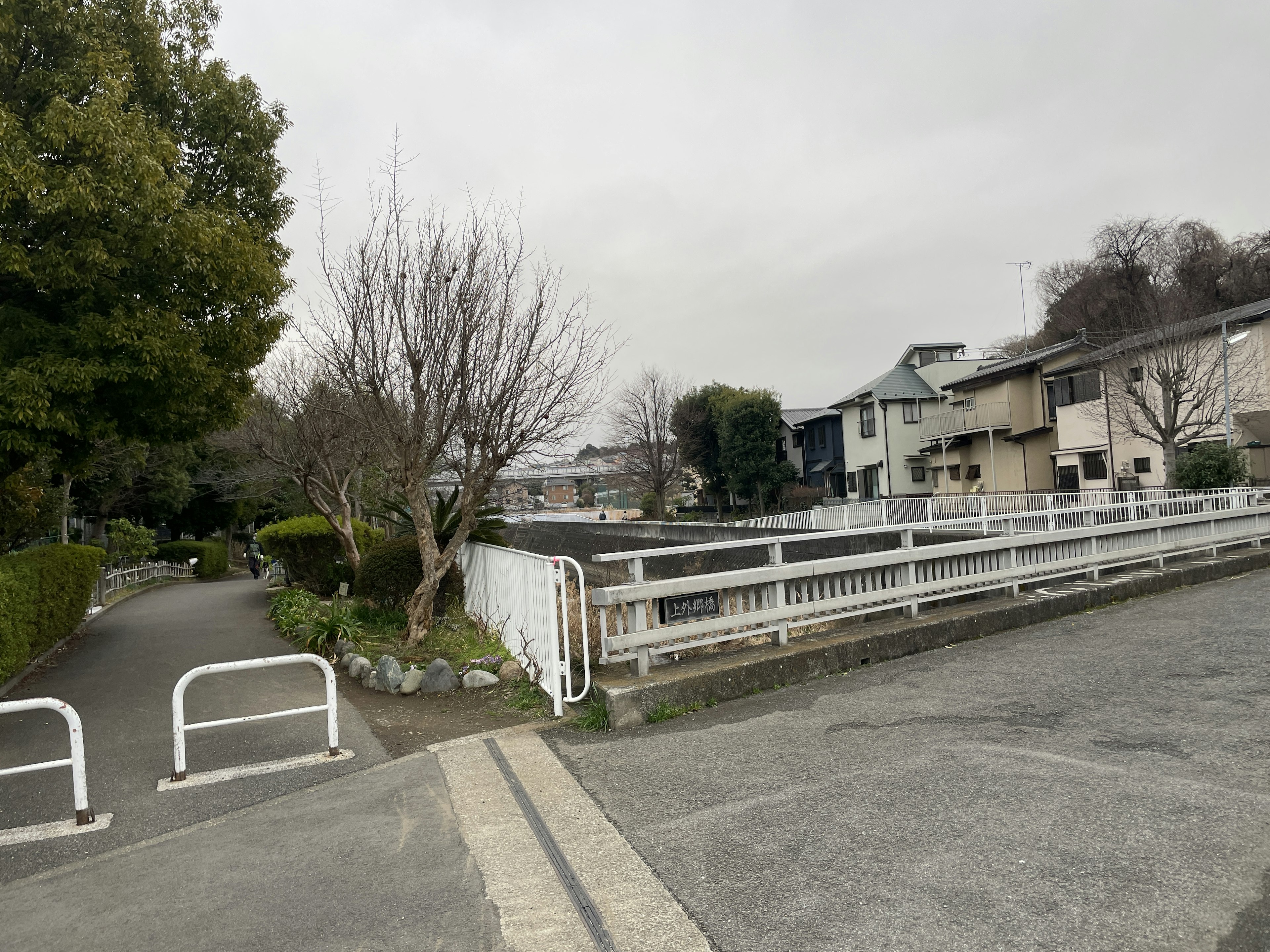 静かな住宅街の風景 住宅と木々の景色が見える