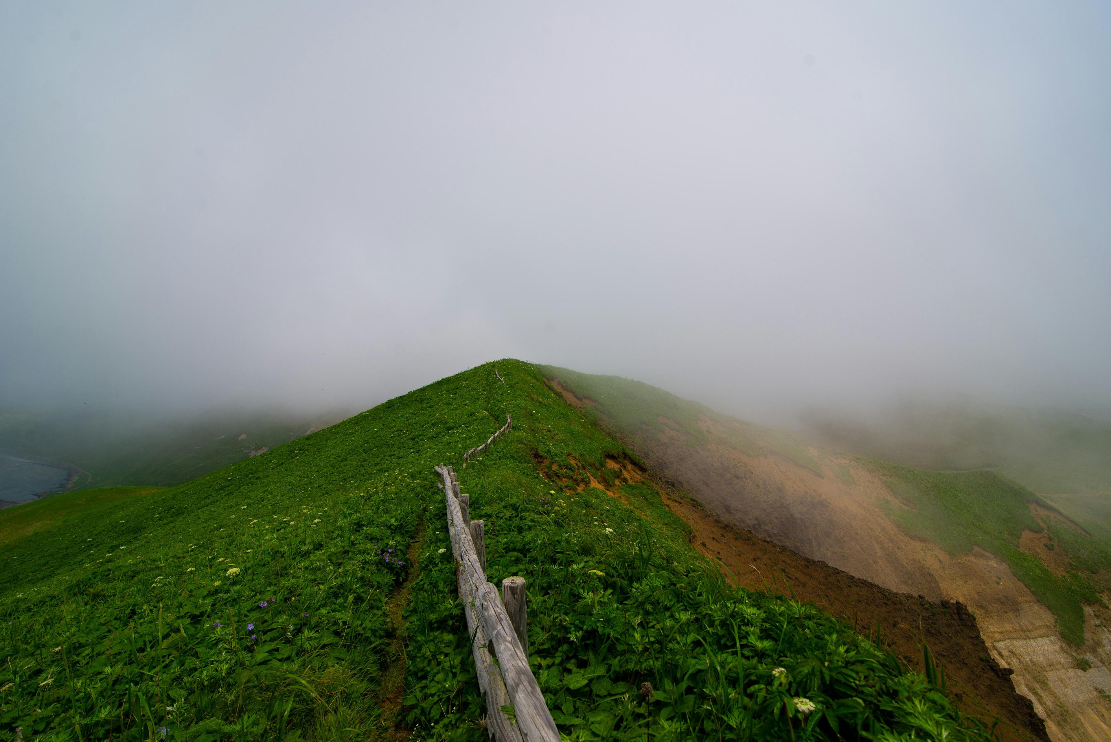 Una collina verde nebbiosa con un sentiero tortuoso che conduce nella nebbia