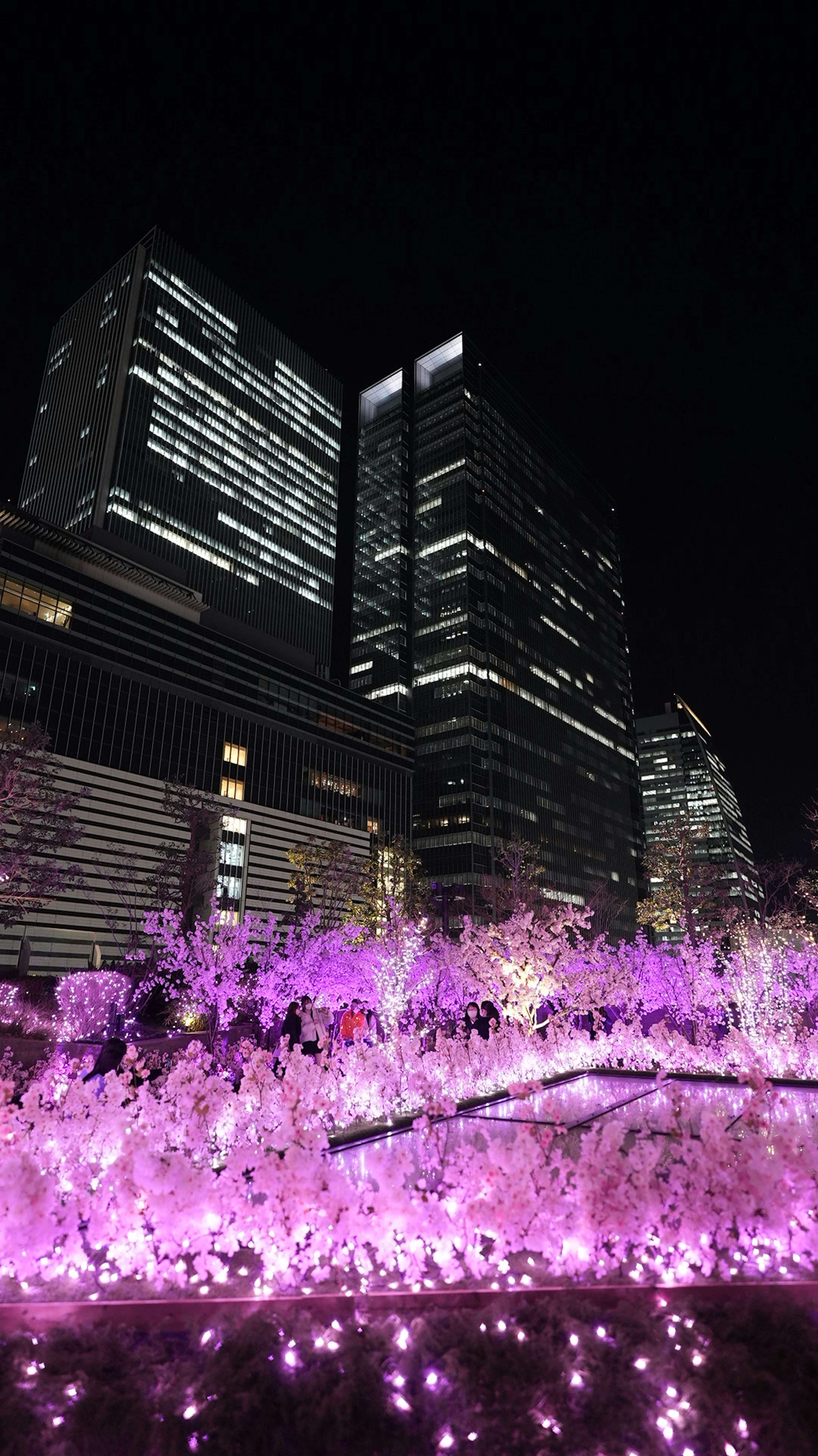 夜の都市風景に浮かぶ高層ビルと紫色のライトアップされた植物