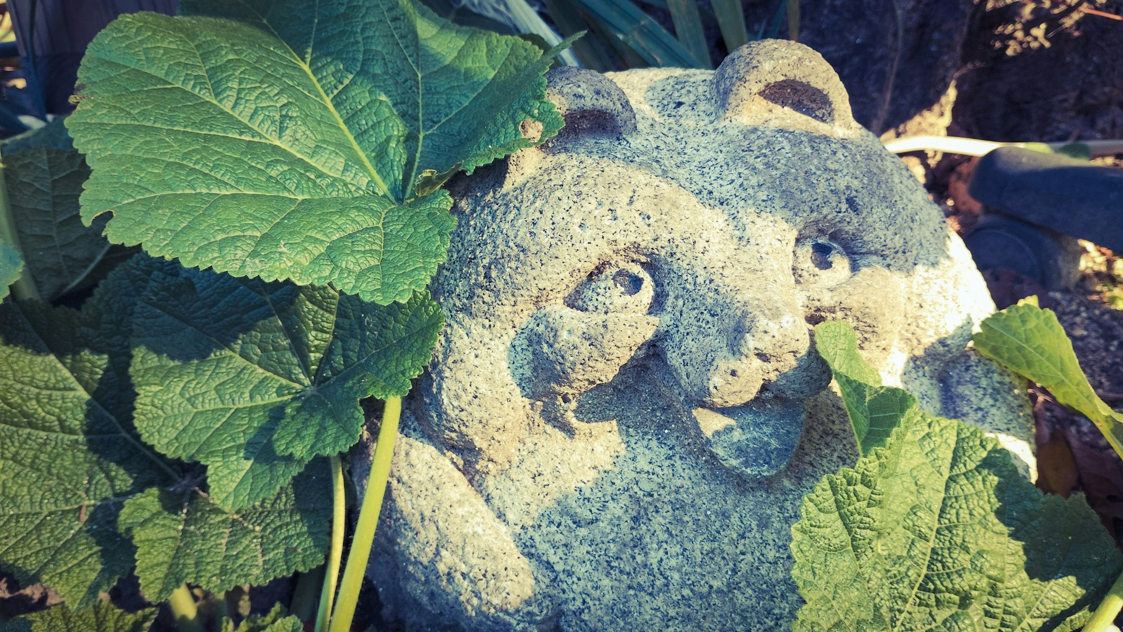 Scultura di panda in pietra circondata da foglie verdi