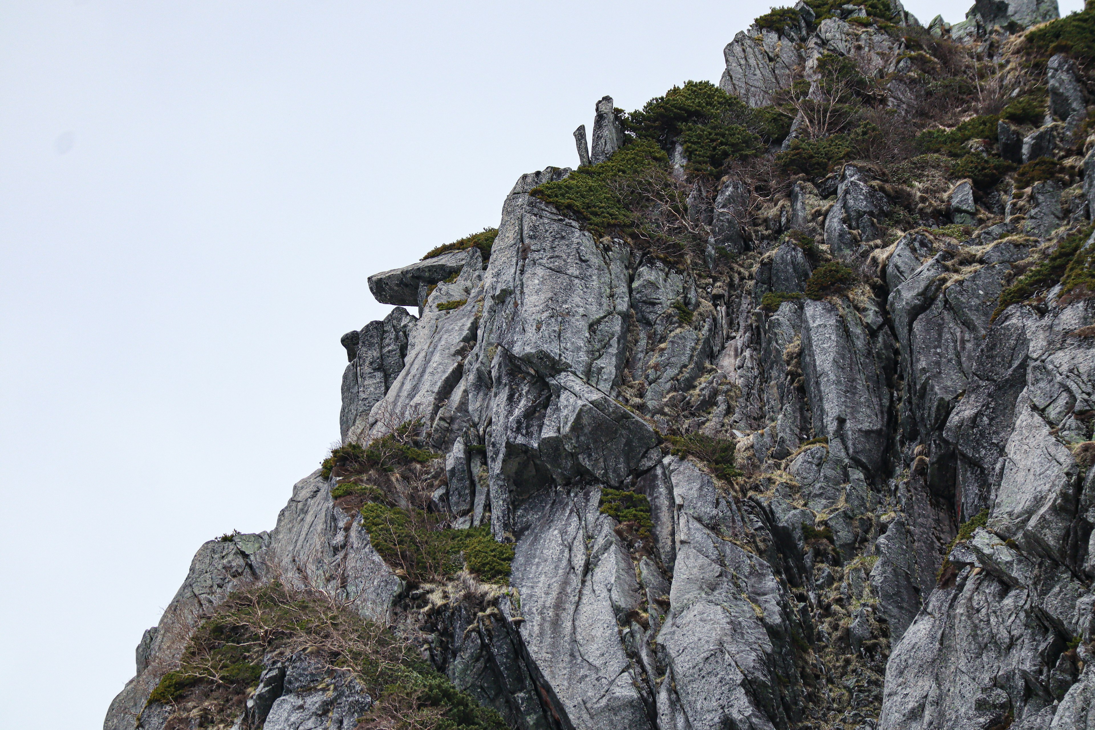 岩石山脉景观与绿植