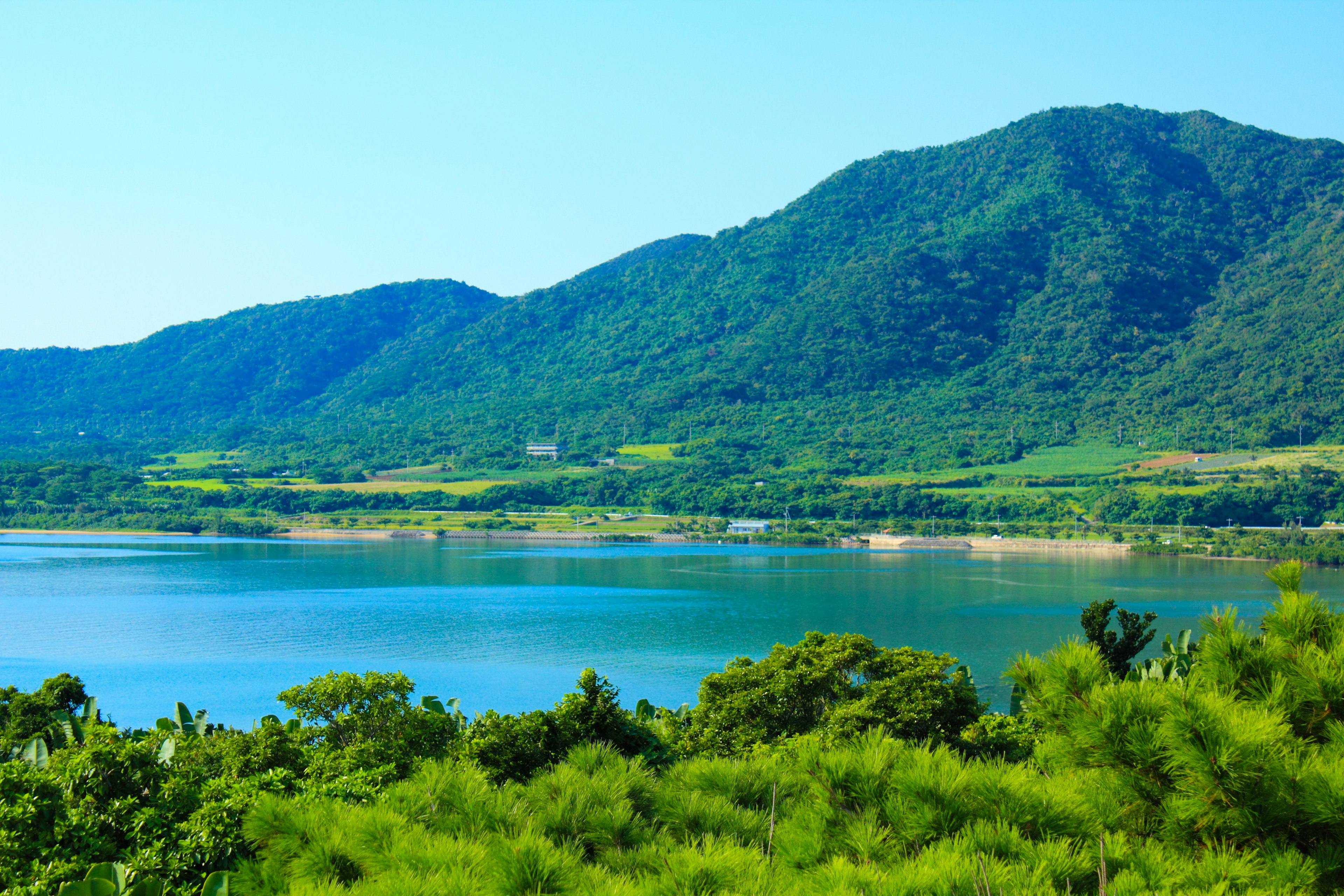 Vue panoramique d'un lac bleu entouré de montagnes vertes