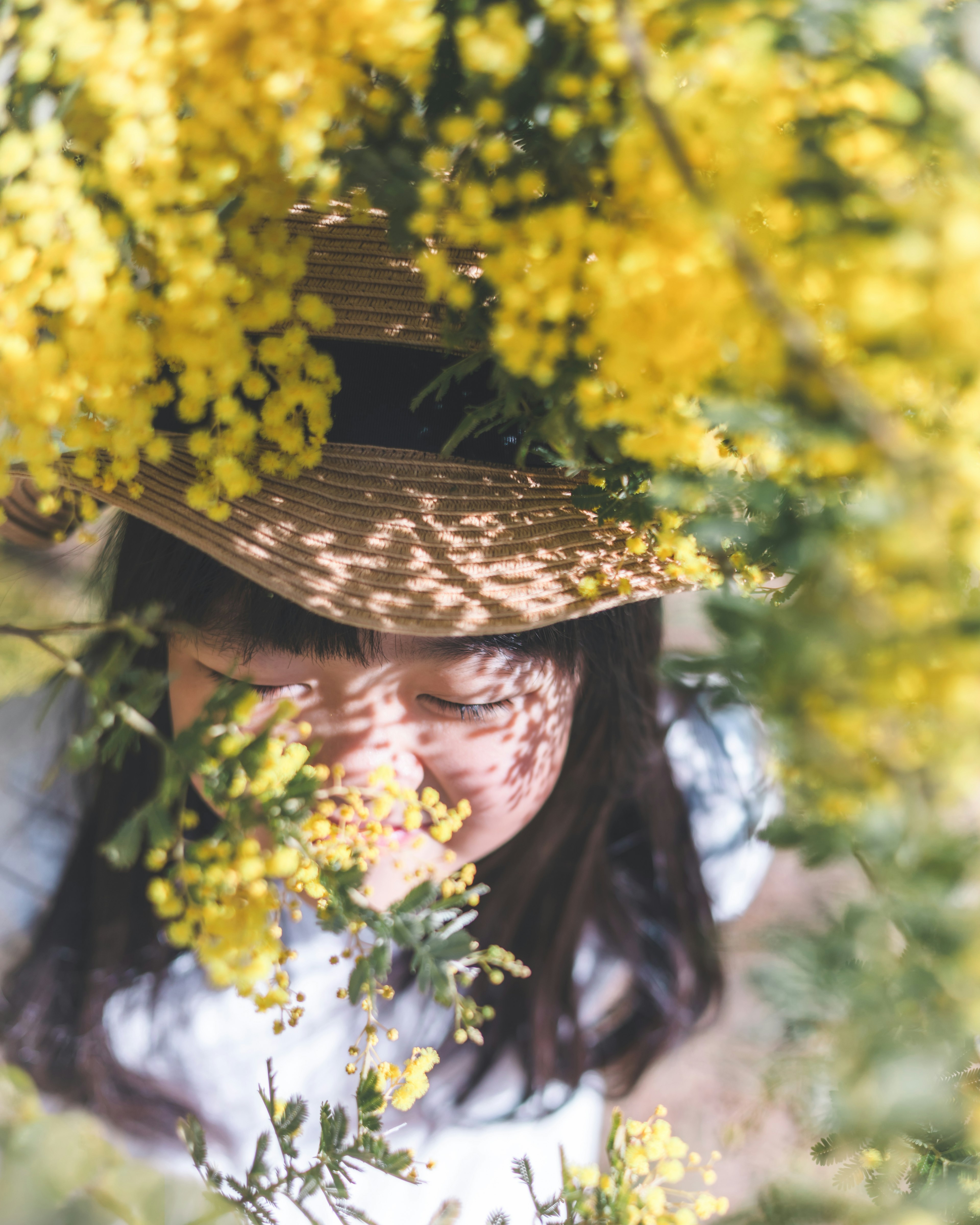 黄色い花の間から顔を出す女性の写真