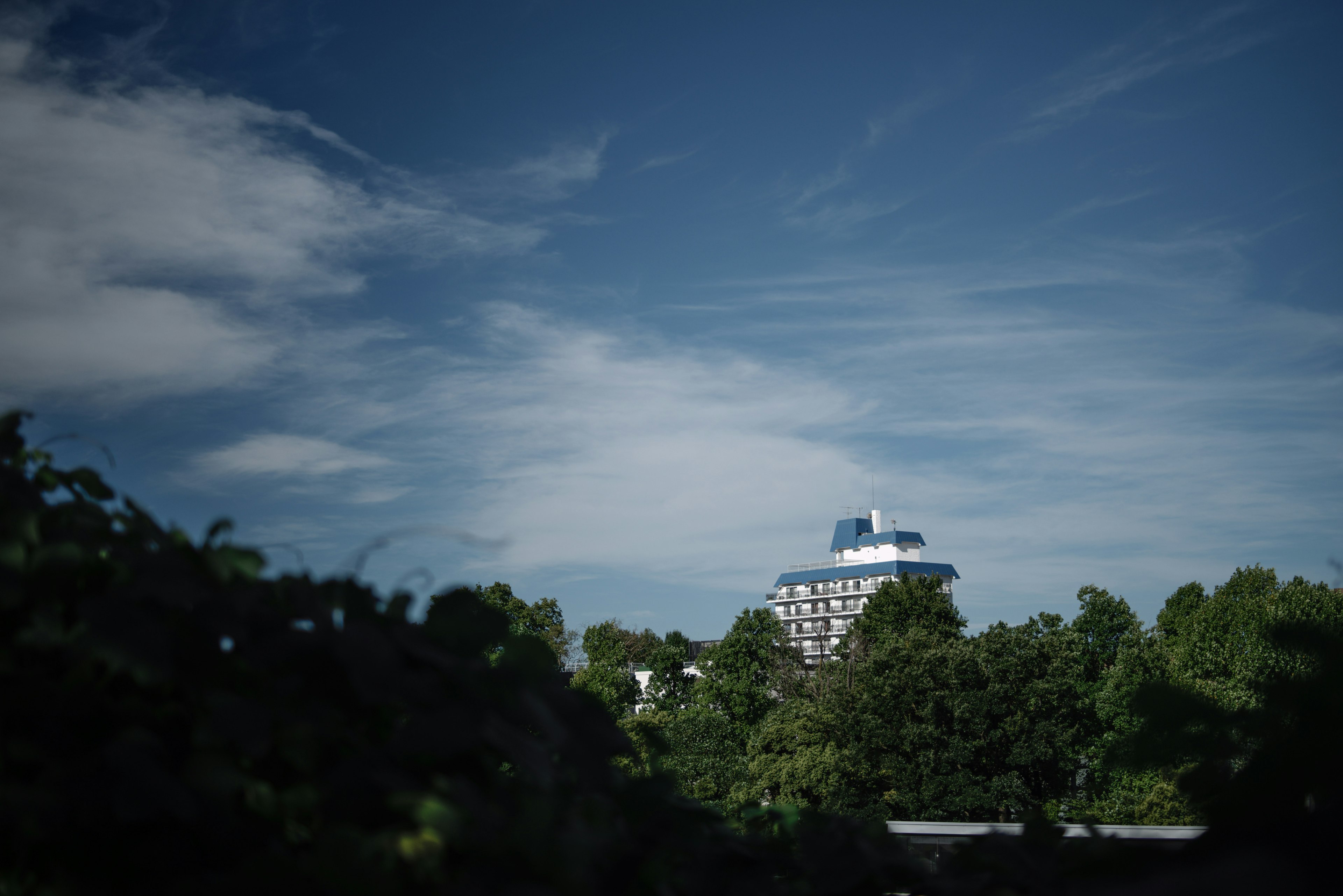 Bangunan modern dikelilingi oleh tanaman hijau di bawah langit biru