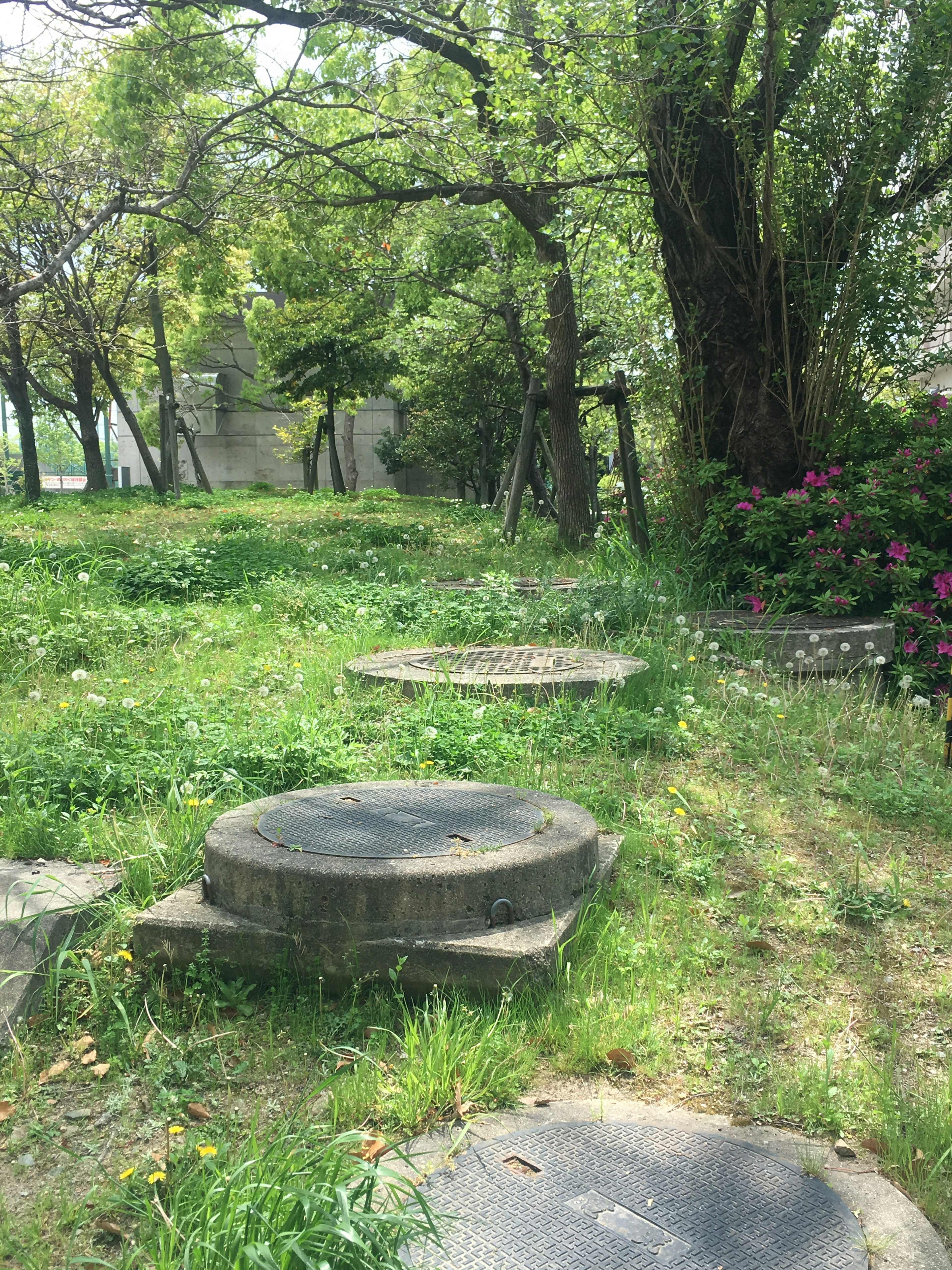 Chemin verdoyant d'un parc avec des bancs circulaires en béton entourés d'arbres