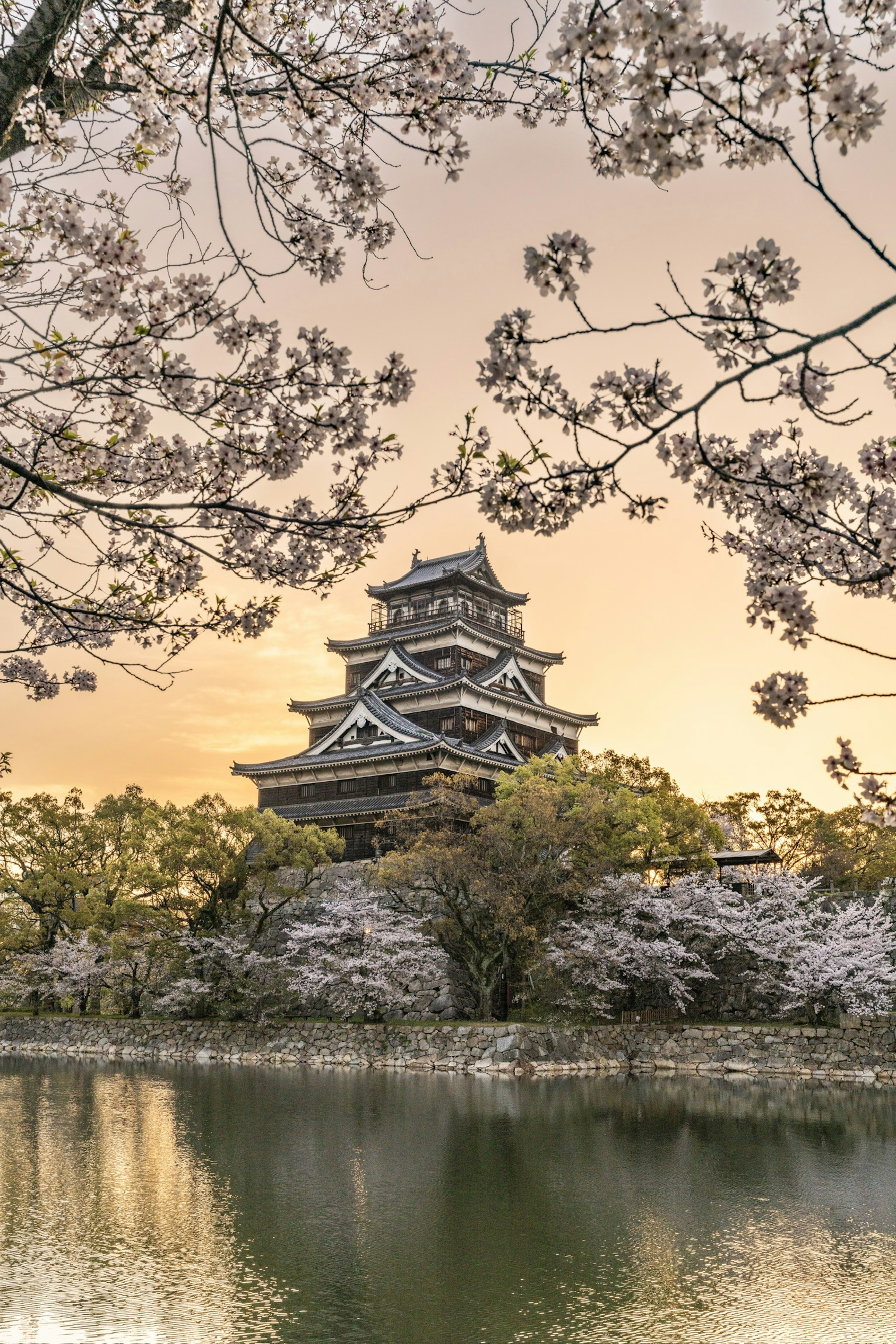 桜の花が咲く城と池の風景夕焼けの空