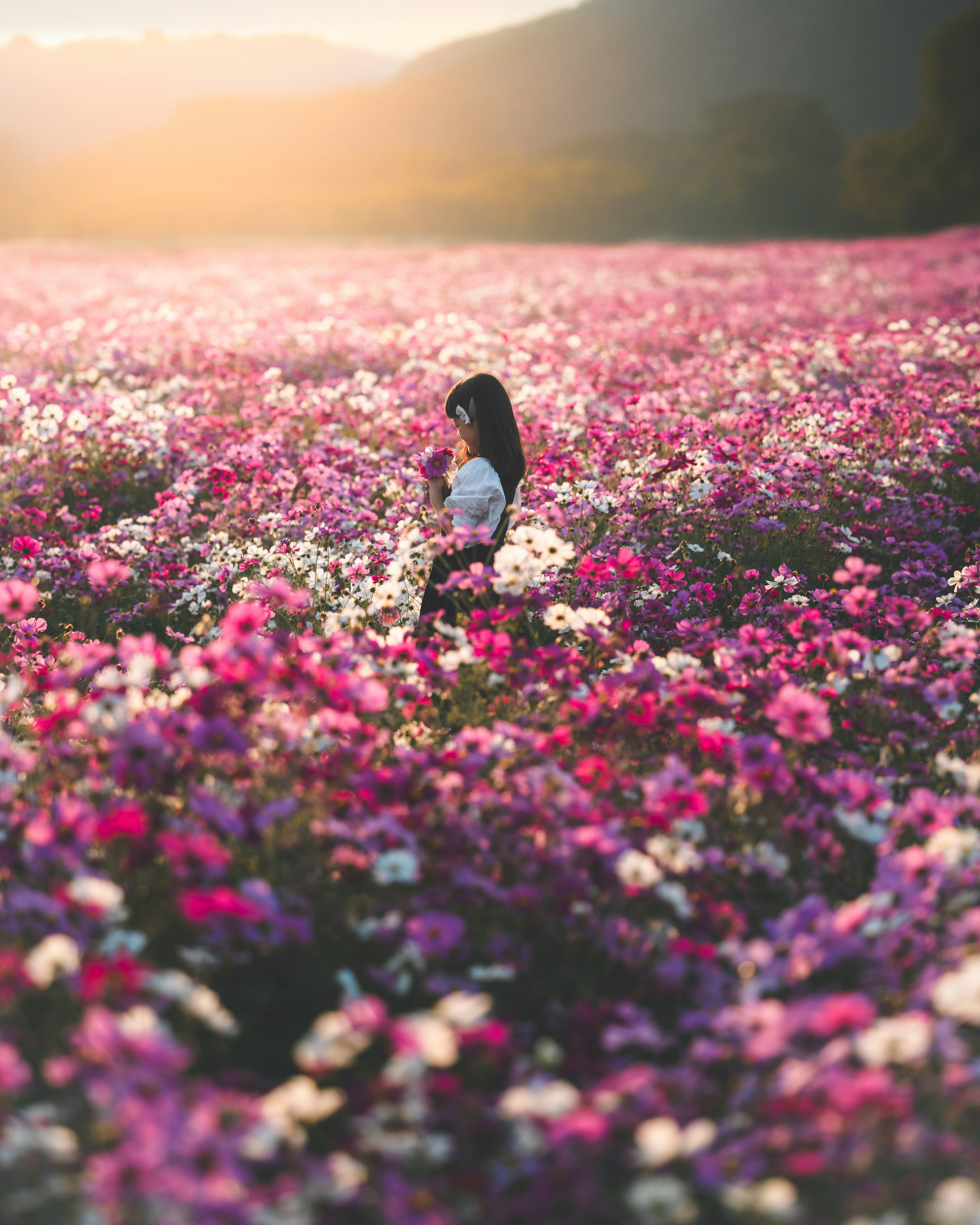 女性が色とりどりの花に囲まれて立っている風景