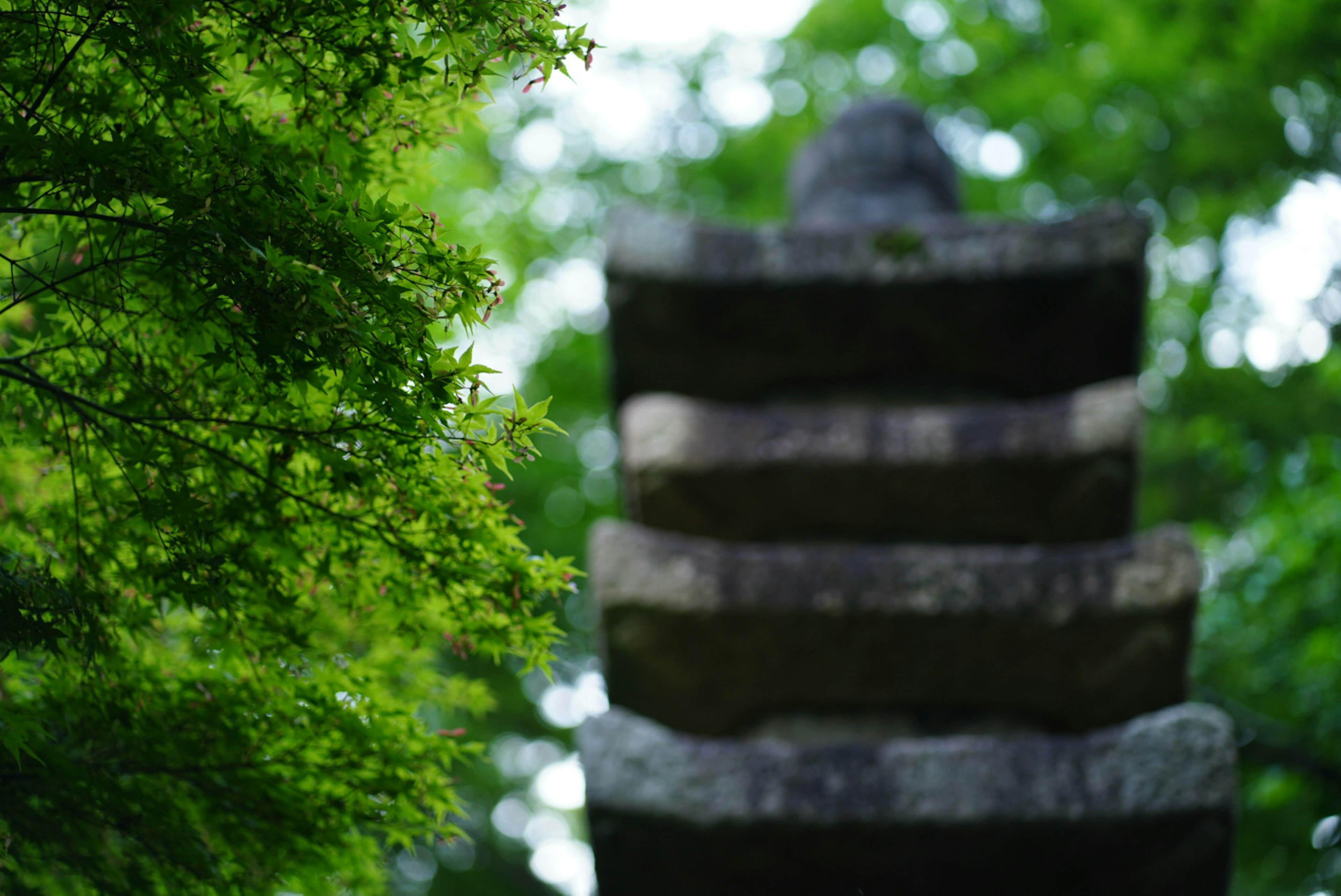 Image floue d'une pagode en pierre entourée d'une verdure luxuriante