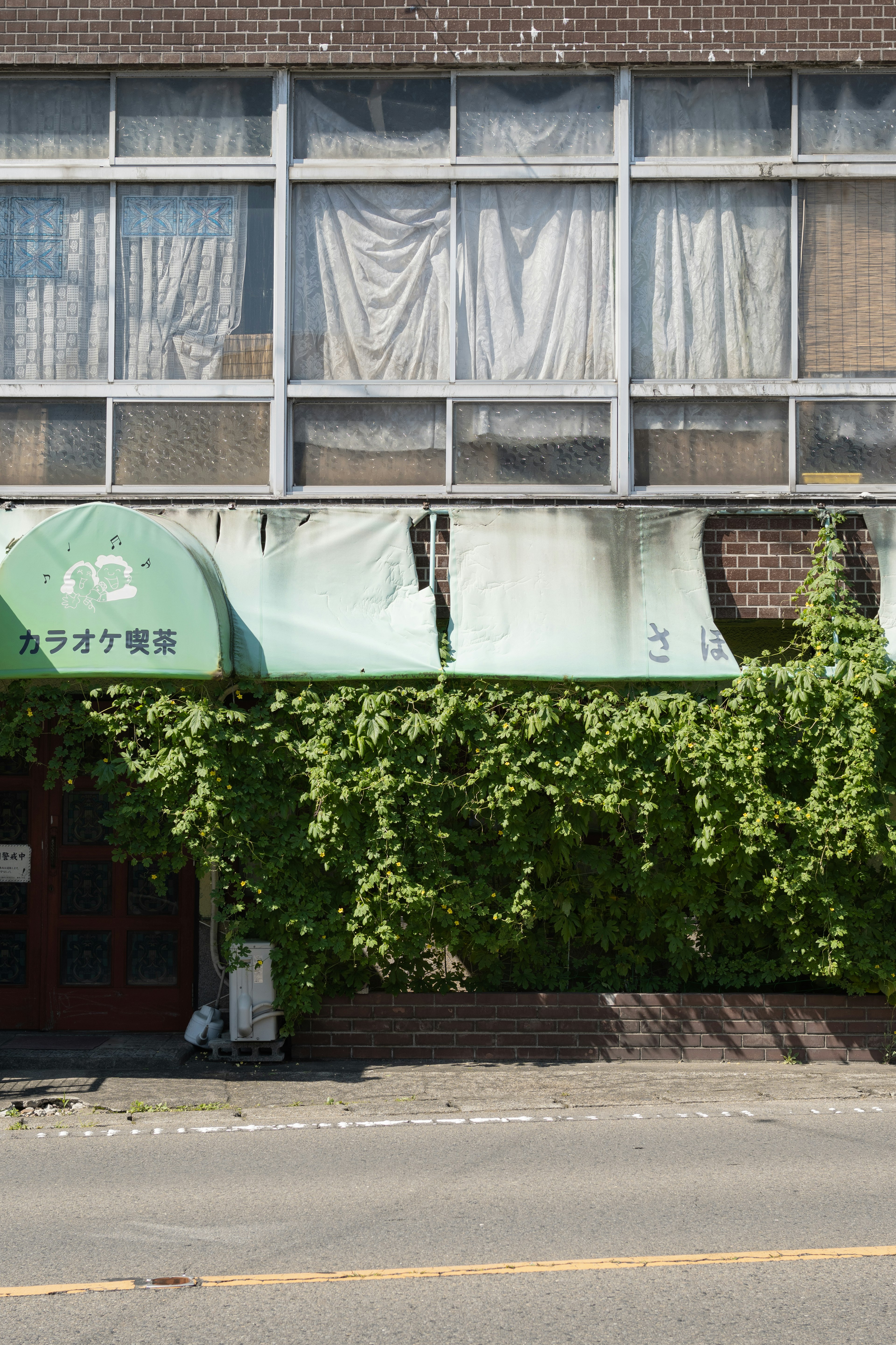 Old building with green awning and ivy-covered facade