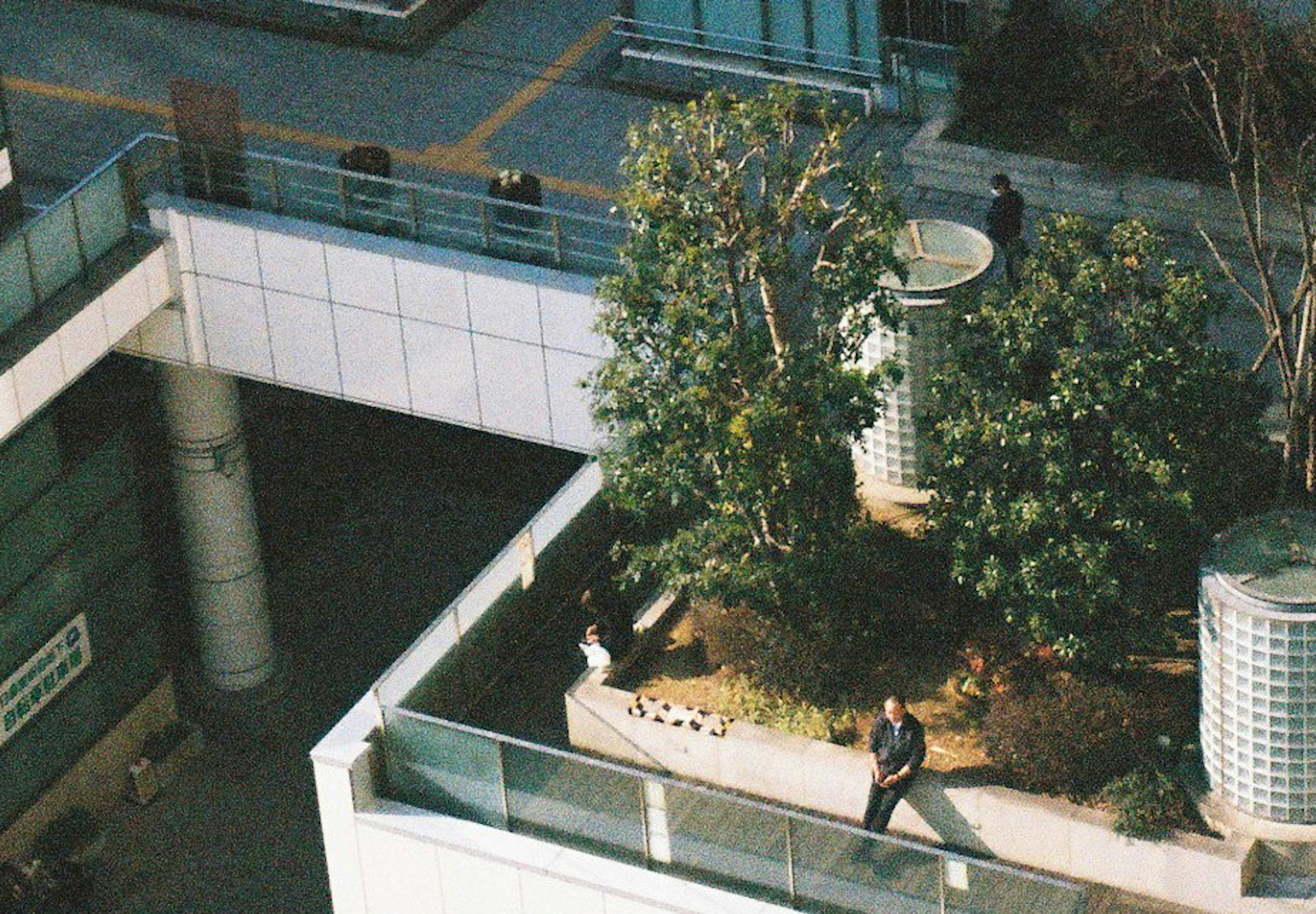 Green plants and a pedestrian on a rooftop of a high-rise building