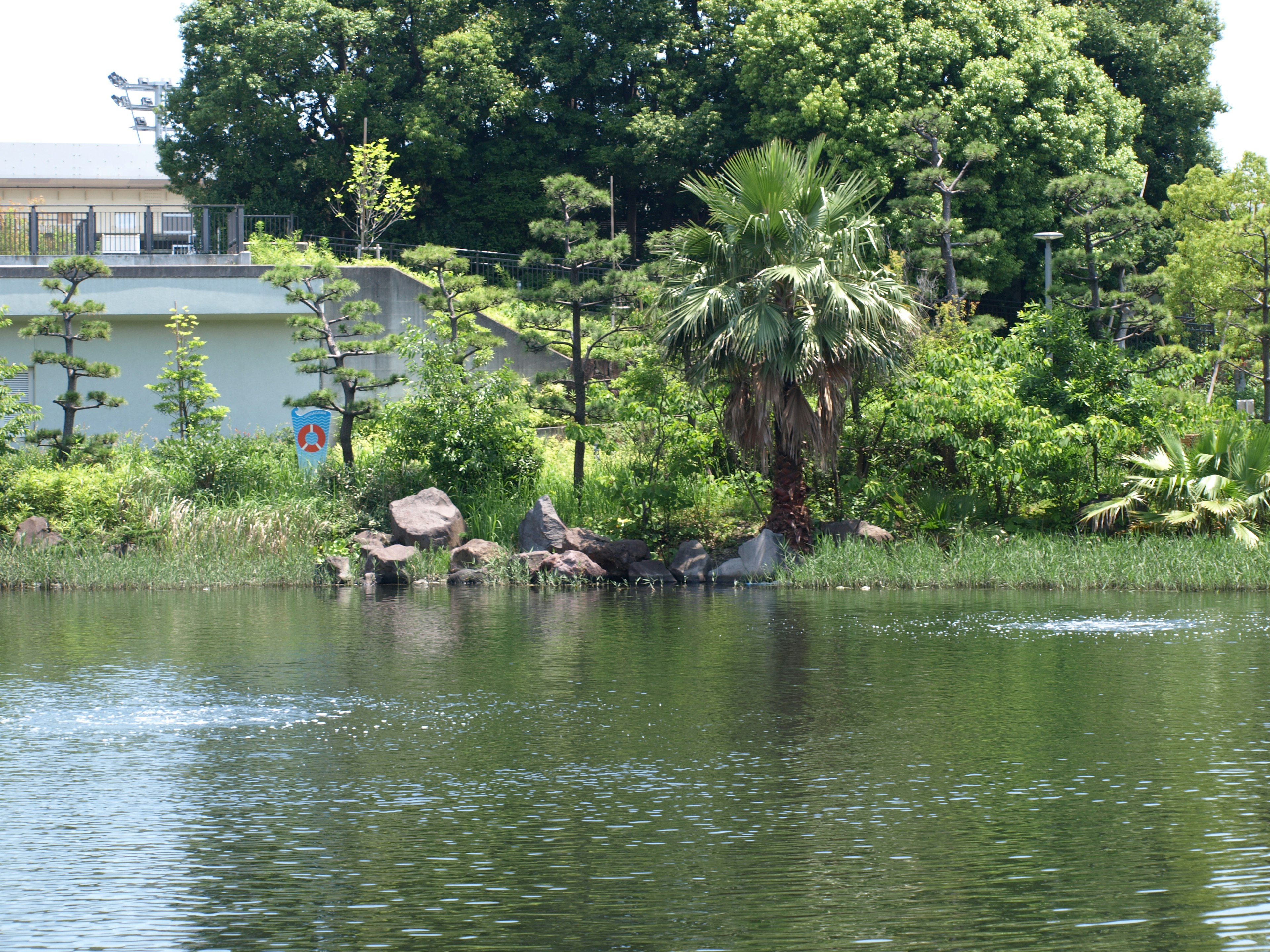 水辺に緑豊かな木々と岩がある風景