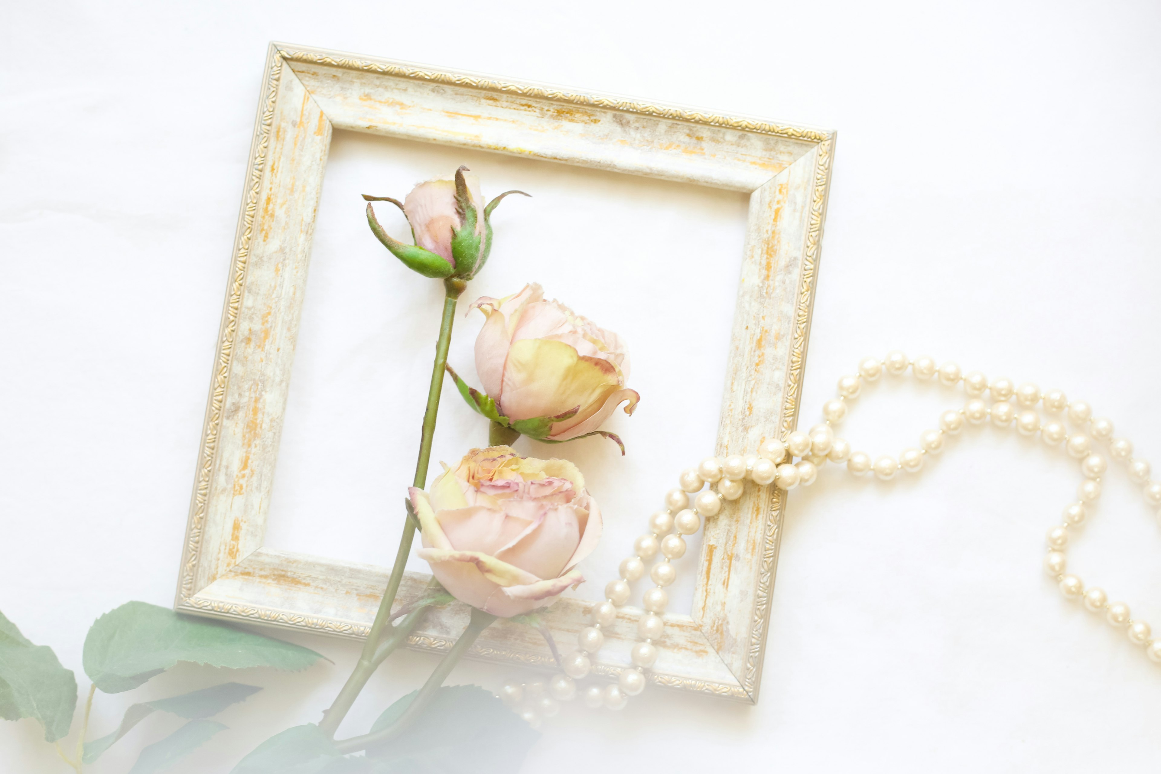 Image featuring pink roses and a pearl necklace in a frame on a white background