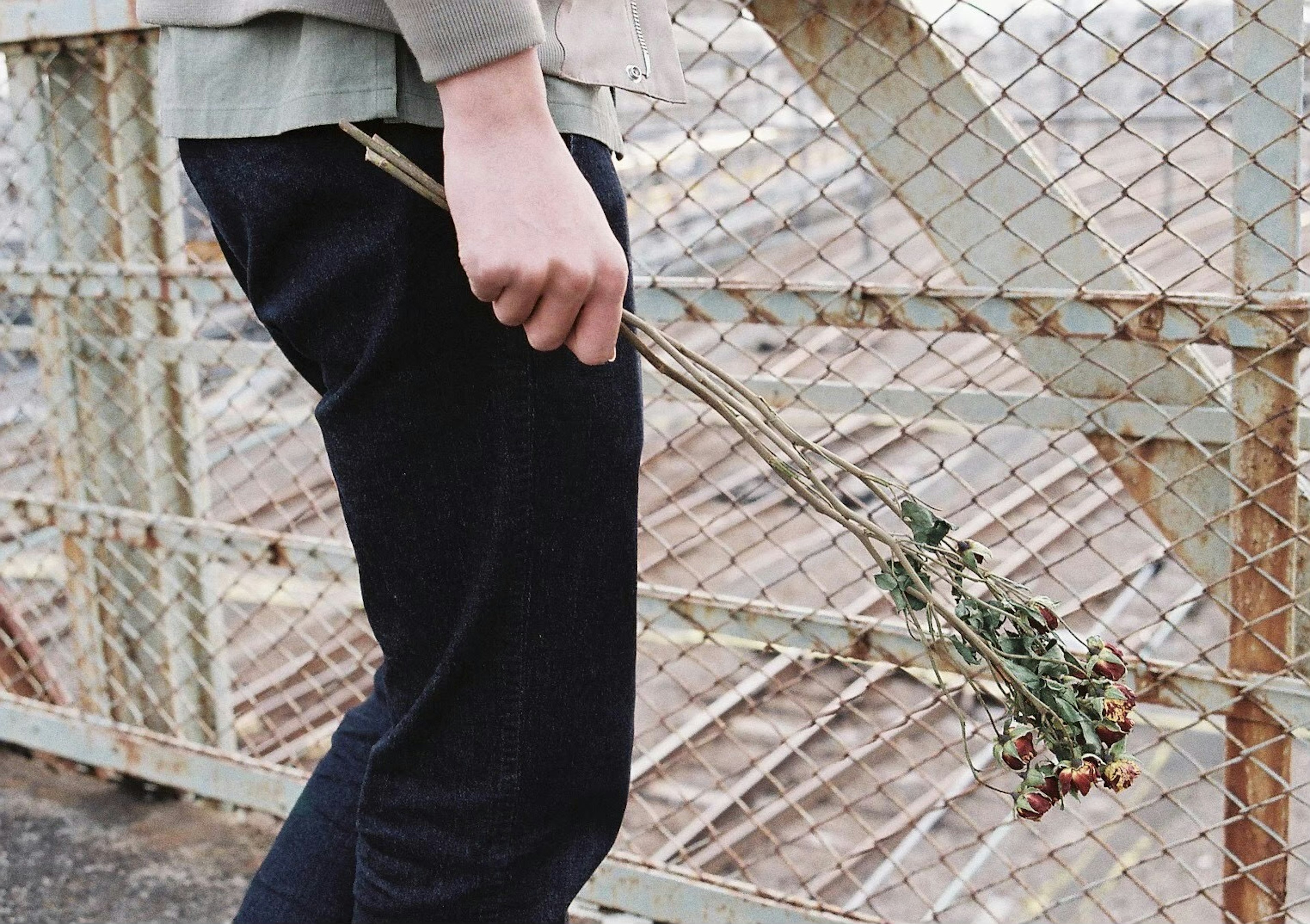 Person standing in front of a wire fence holding a small branch