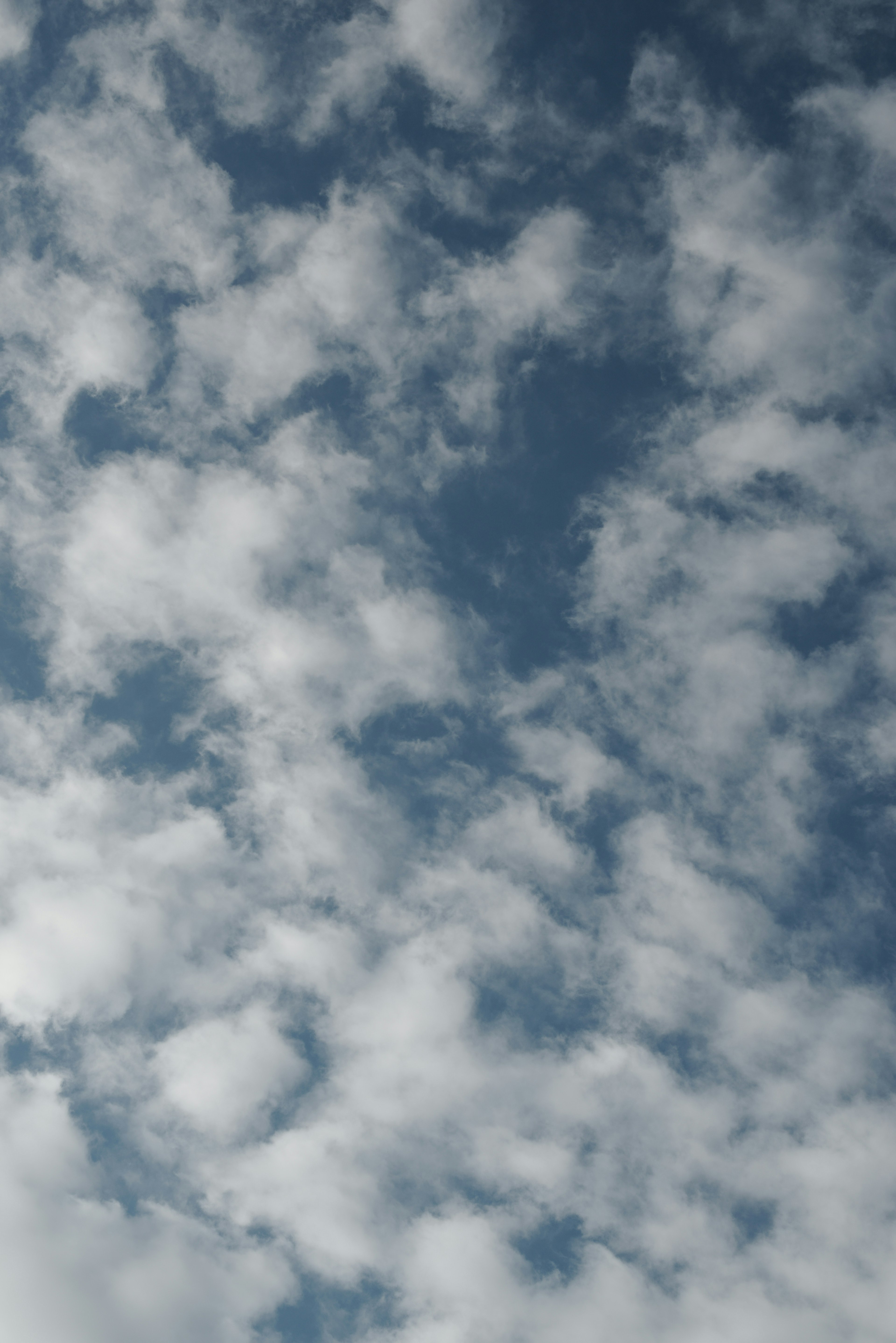 Langit dipenuhi awan putih berbulu lembut di latar belakang biru