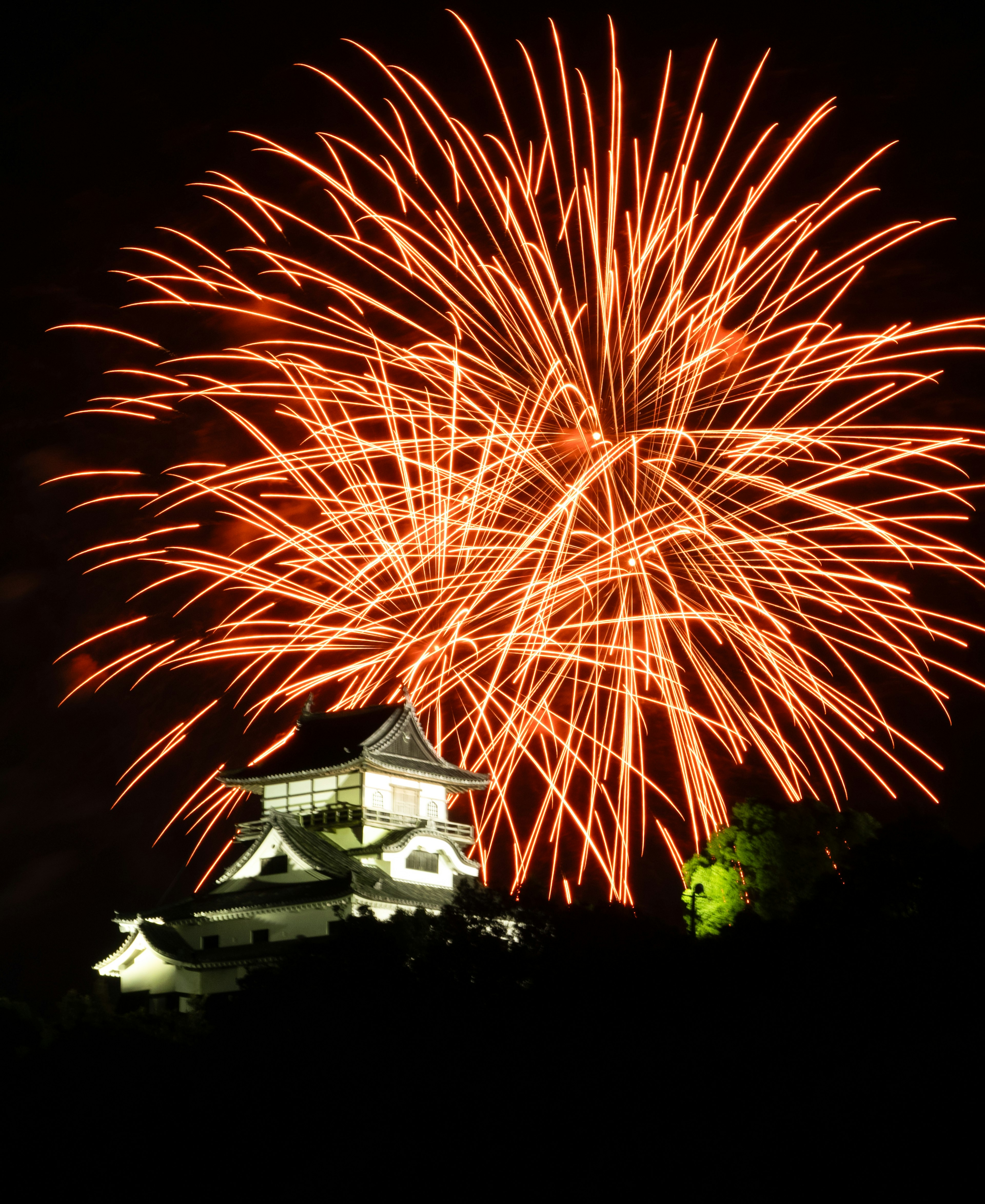 Hermosa escena nocturna de un castillo con fuegos artificiales