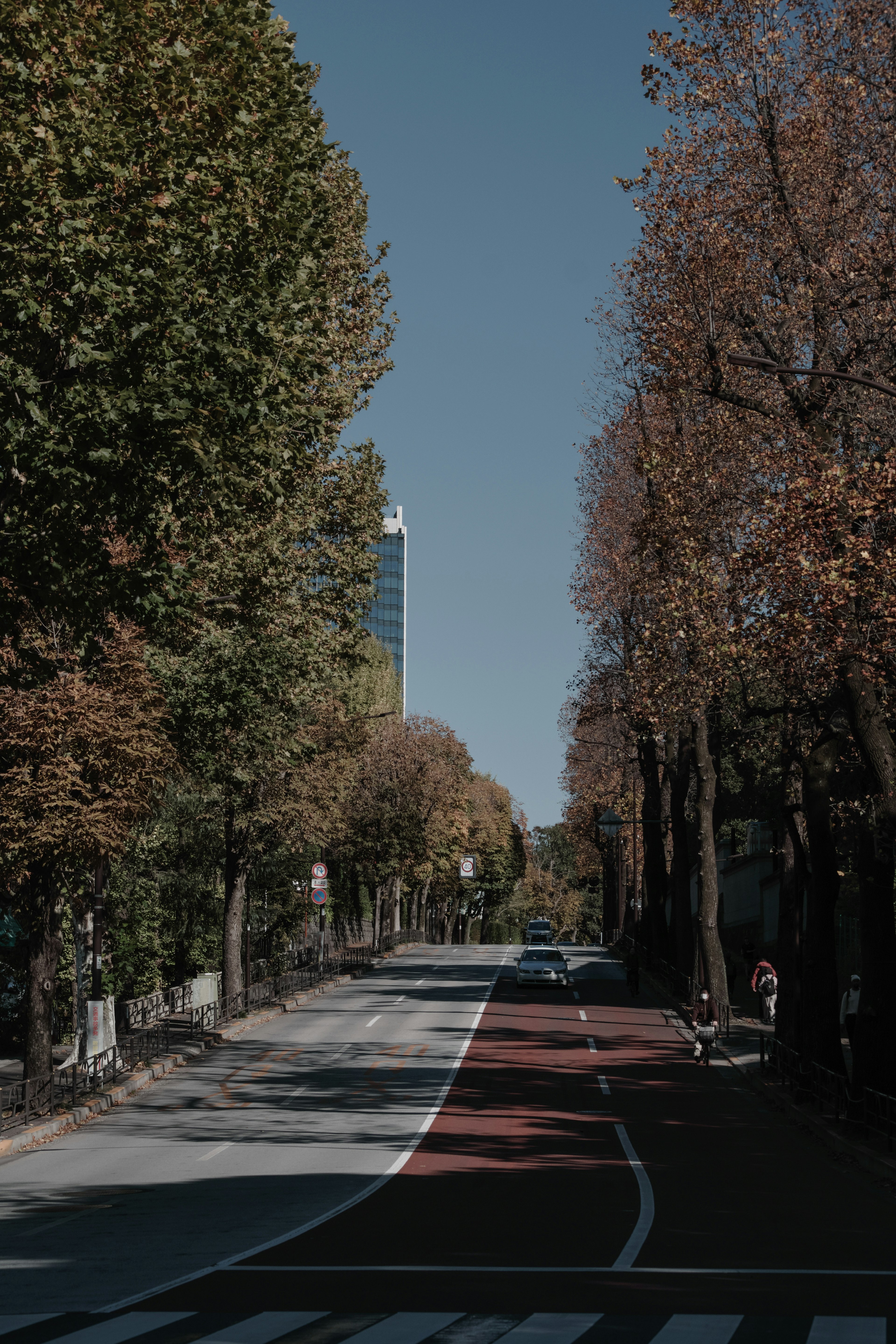 Calle de otoño flanqueada por árboles y vista de un edificio alto